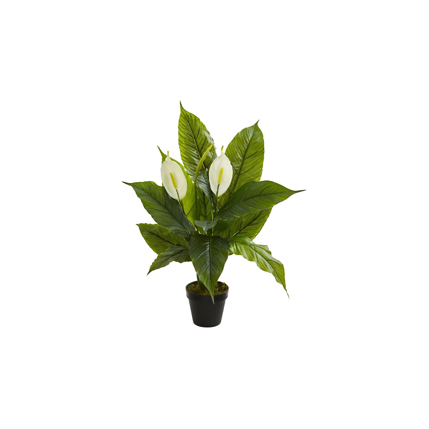 Nearly Natural 26" Spathiphyllum Artificial Plant Real Touch in Green/Black