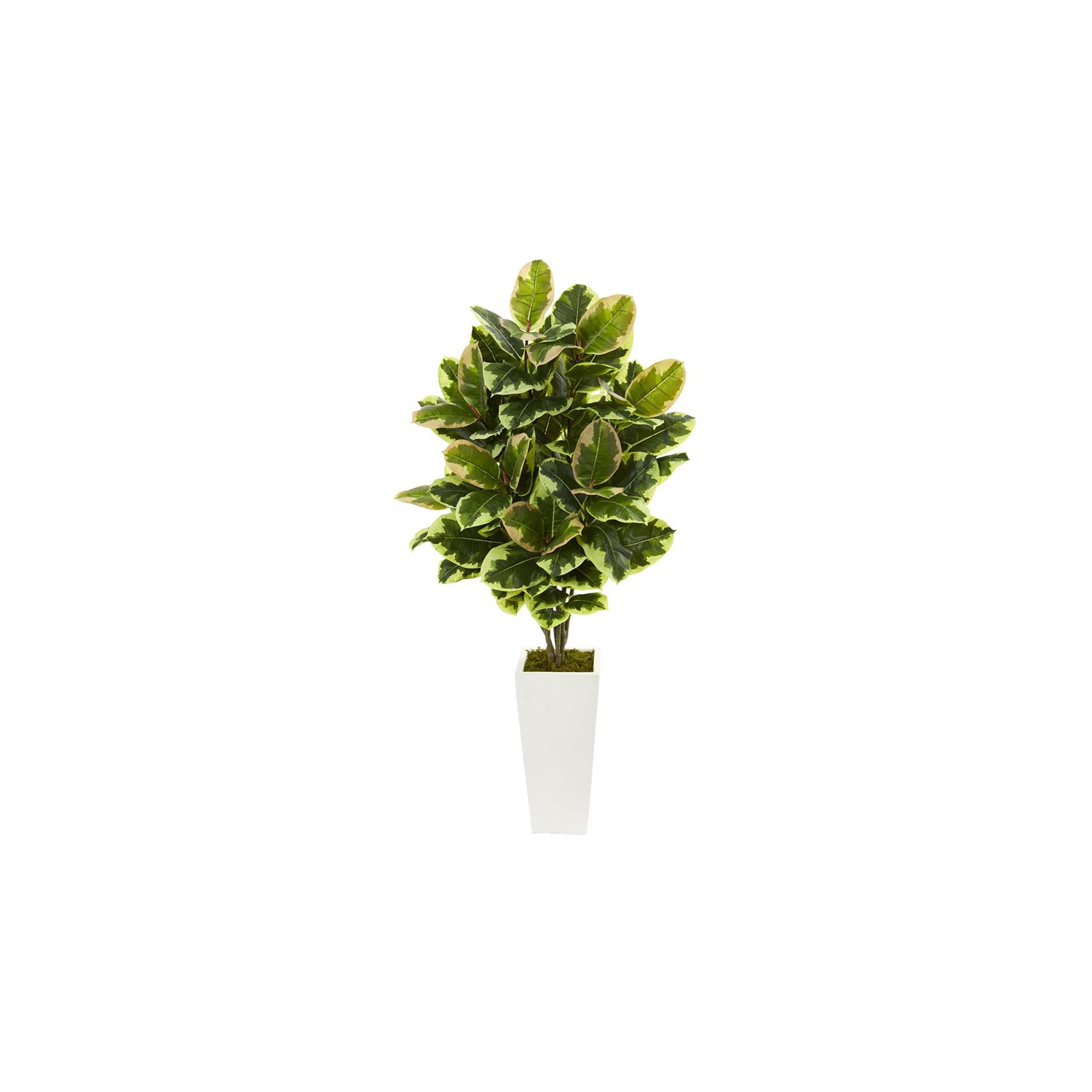 Variegated Rubber Leaf Artificial Plant in White Tower Vase in Green/White