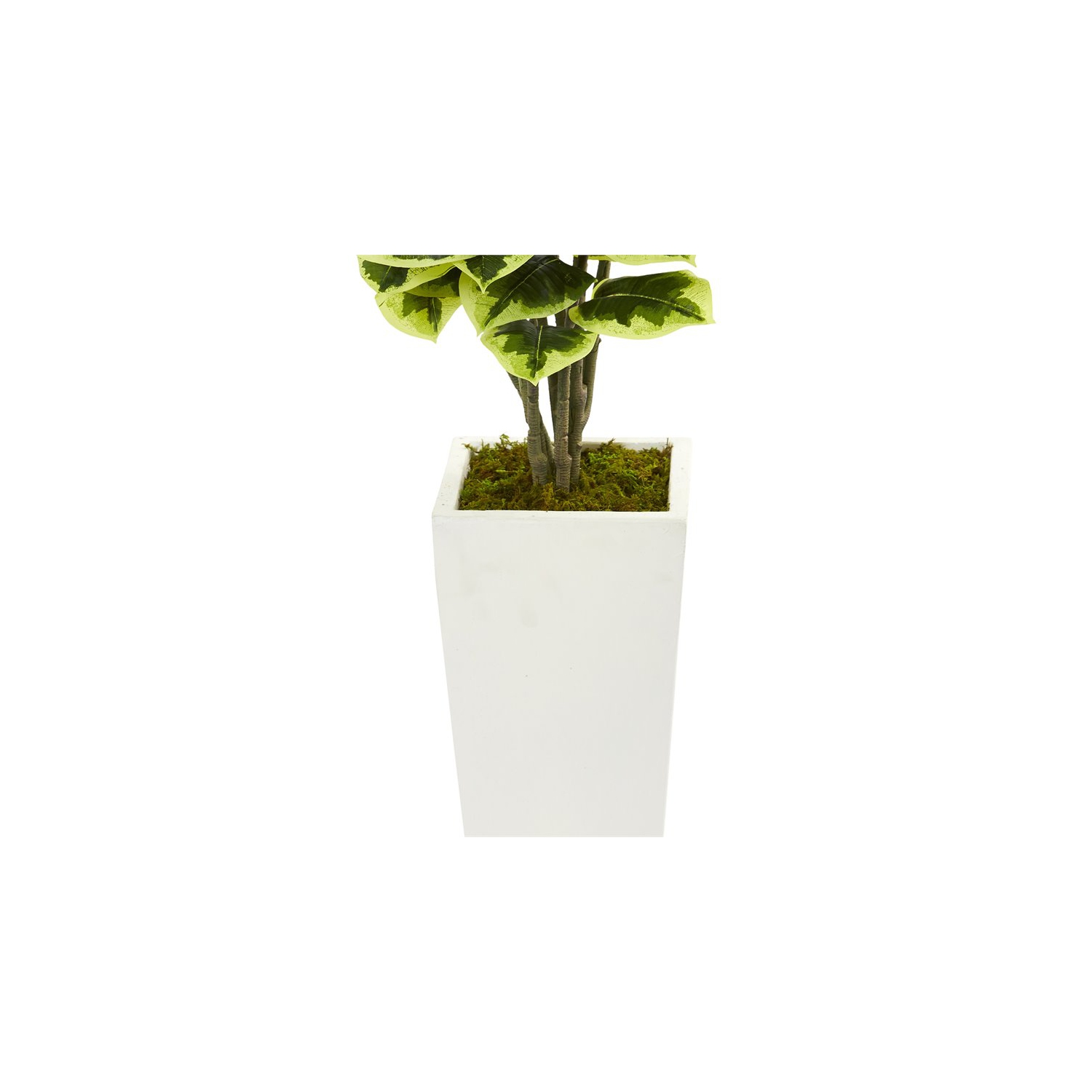 Variegated Rubber Leaf Artificial Plant in White Tower Vase in Green/White