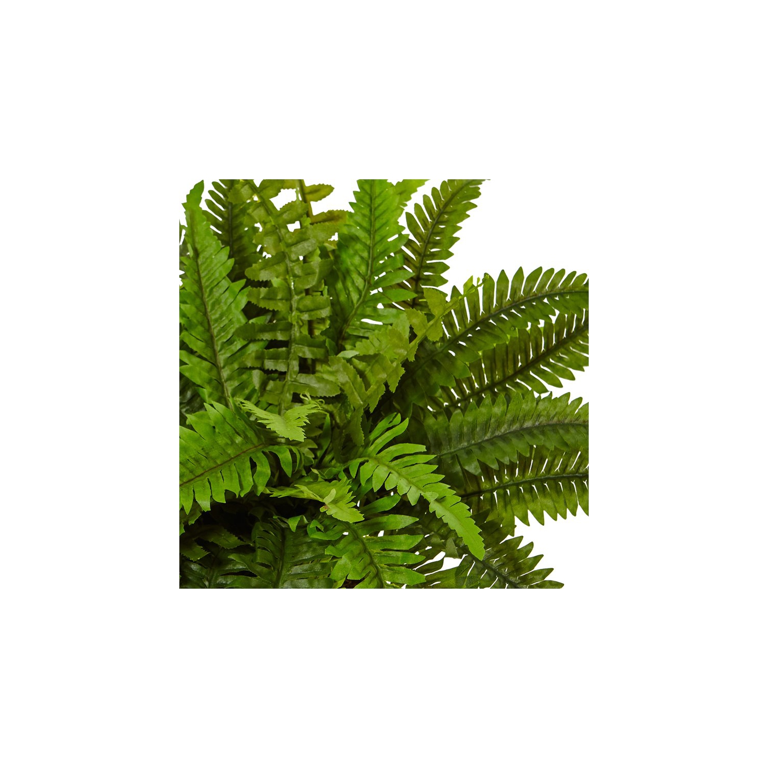 Fougère Boston réaliste presque naturelle dans une jardinière ronde en vert/blanc