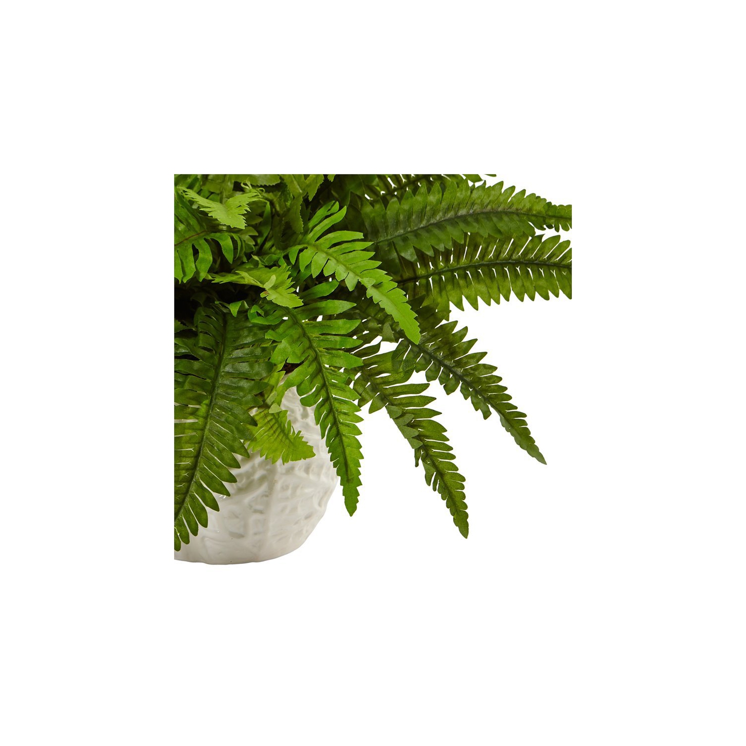 Fougère Boston réaliste presque naturelle dans une jardinière ronde en vert/blanc