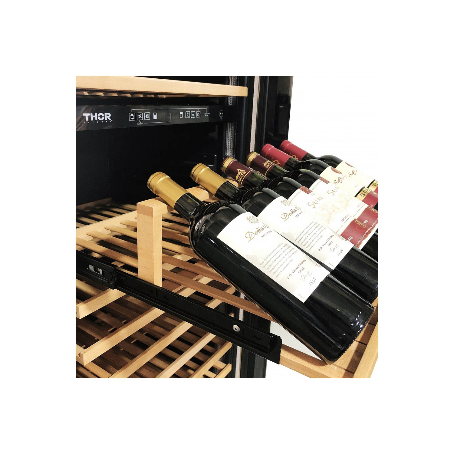 THOR Refroidisseur à vin TWC2403DI de 24 po à deux zones pour 162 bouteilles