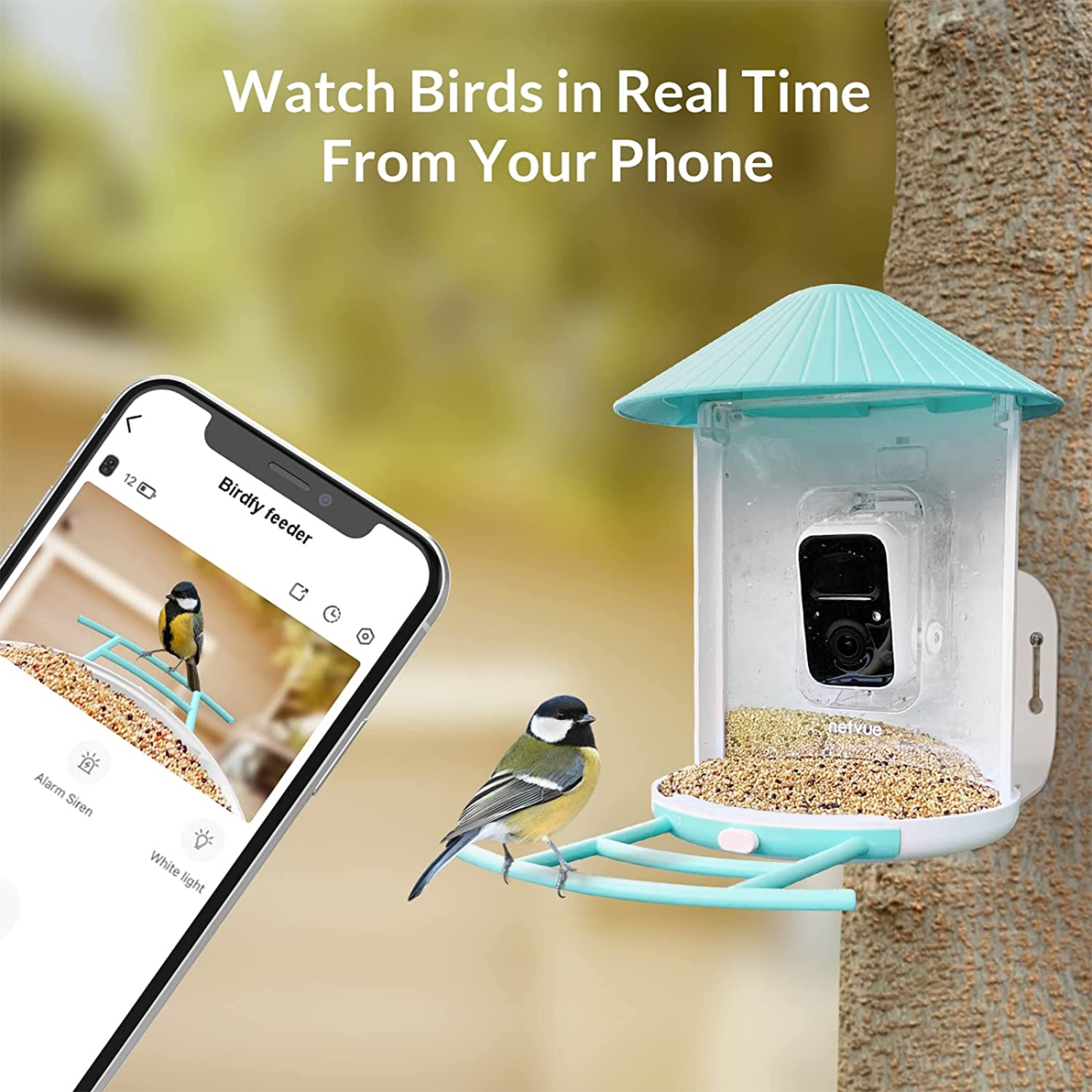 Netvue Birdfy - Caméra de Mangeoire Oiseaux à Batterie avec