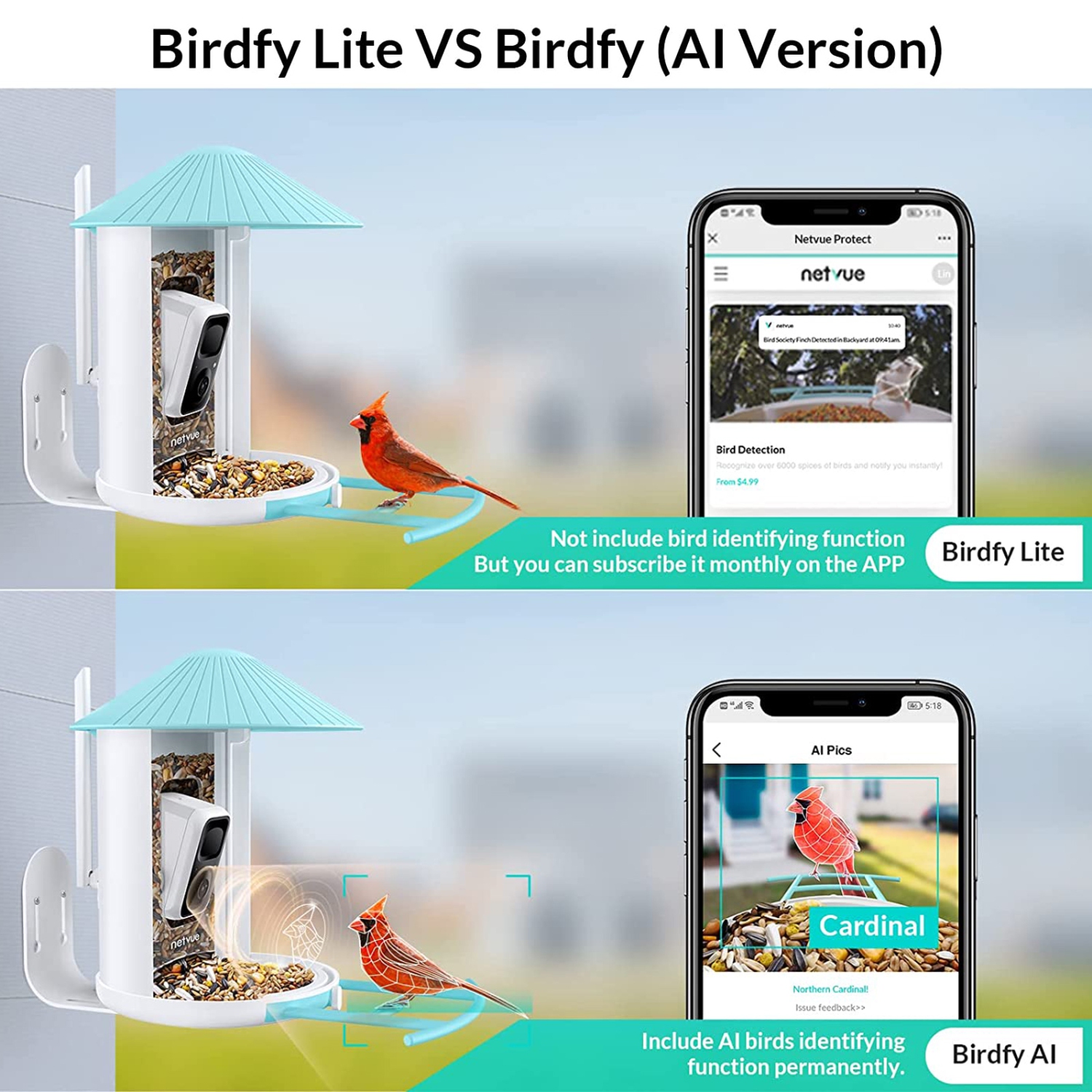 NETVUE-Caméra d'alimentation pour oiseaux sans fil, 1080P FHD, extérieur,  WiFi sans fil, moniteur de détection de mouvement des oiseaux, vision  nocturne couleur, IP65