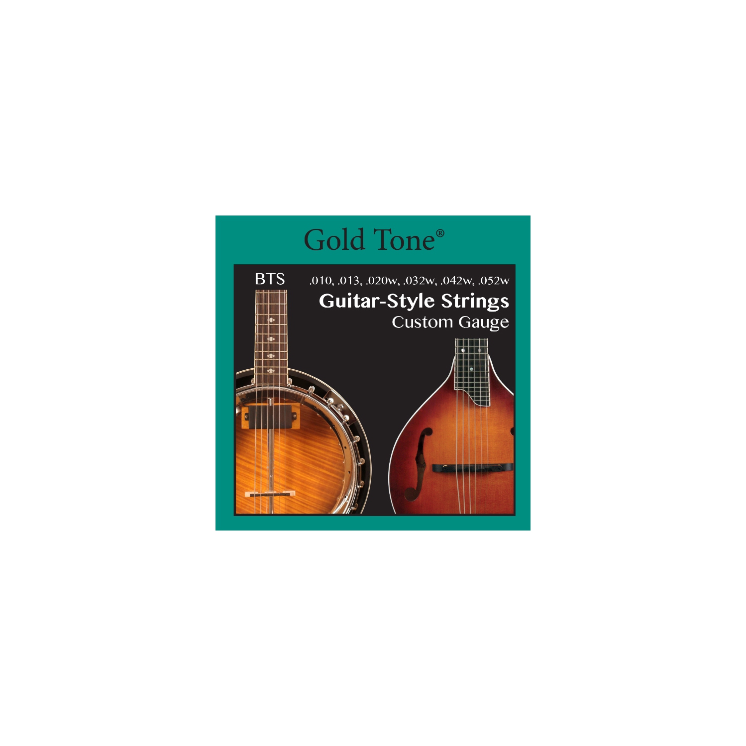 Gold Tone Banjitar String Set
