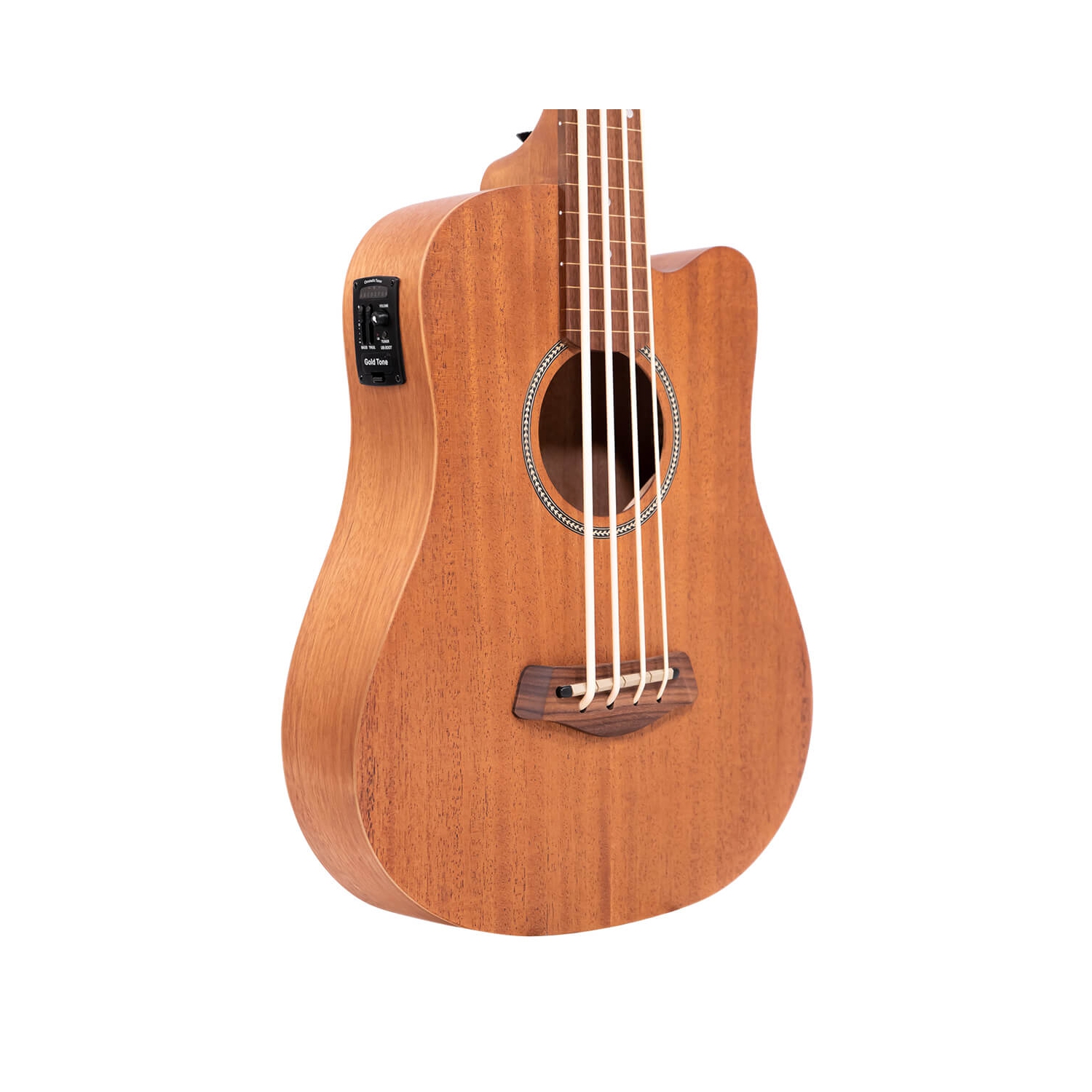 Gold Tone Microbasse 23 sans frettes avec étui souple