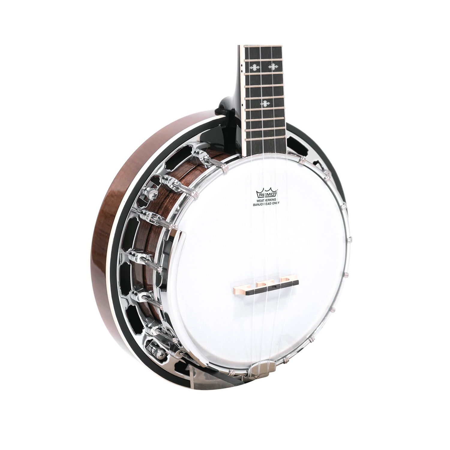 Gold Tone Banjolelele-DLX Échelle de concert Banjo Ukulelele Deluxe
