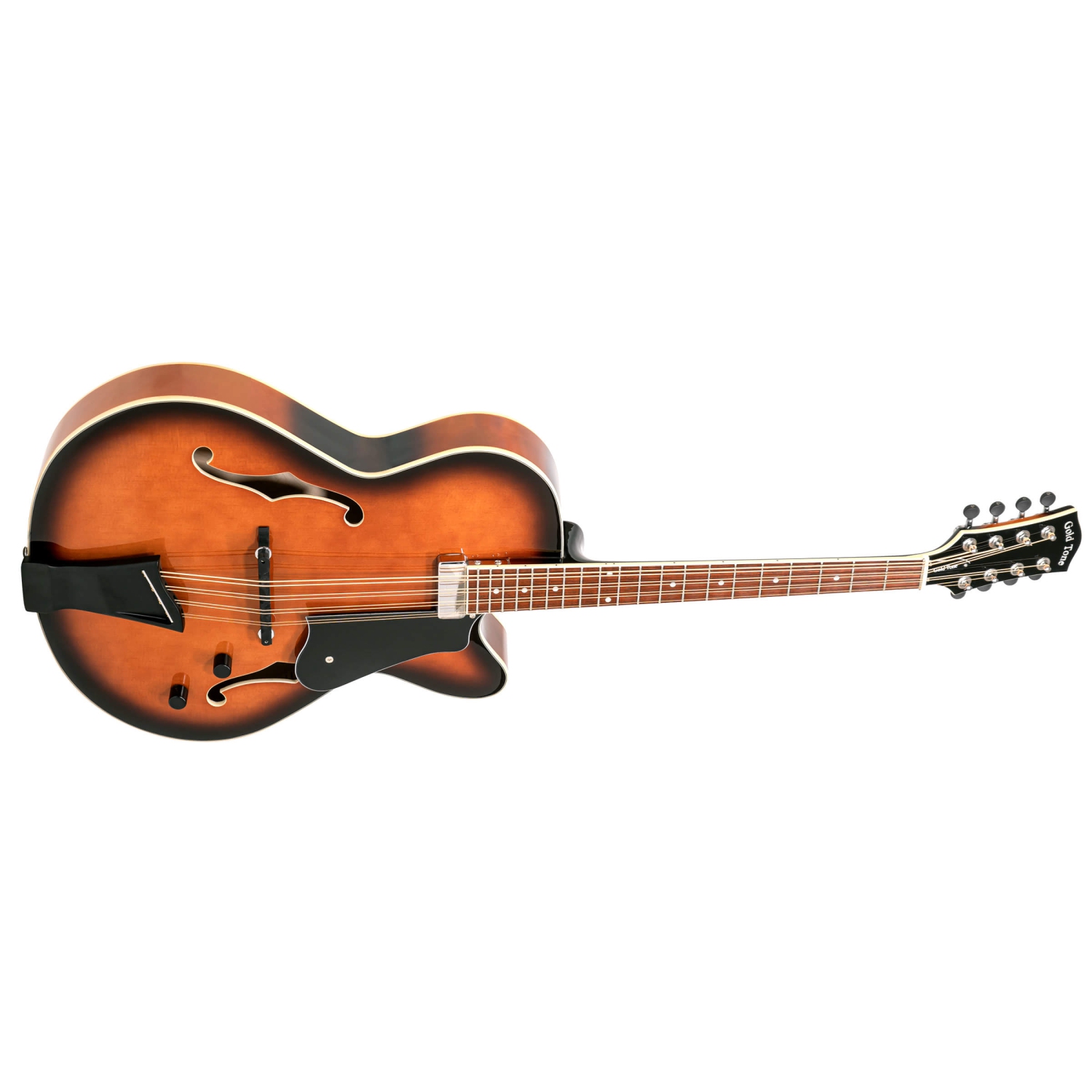 Mandocello à 8 cordes de Gold Tone avec micro et étui rigide