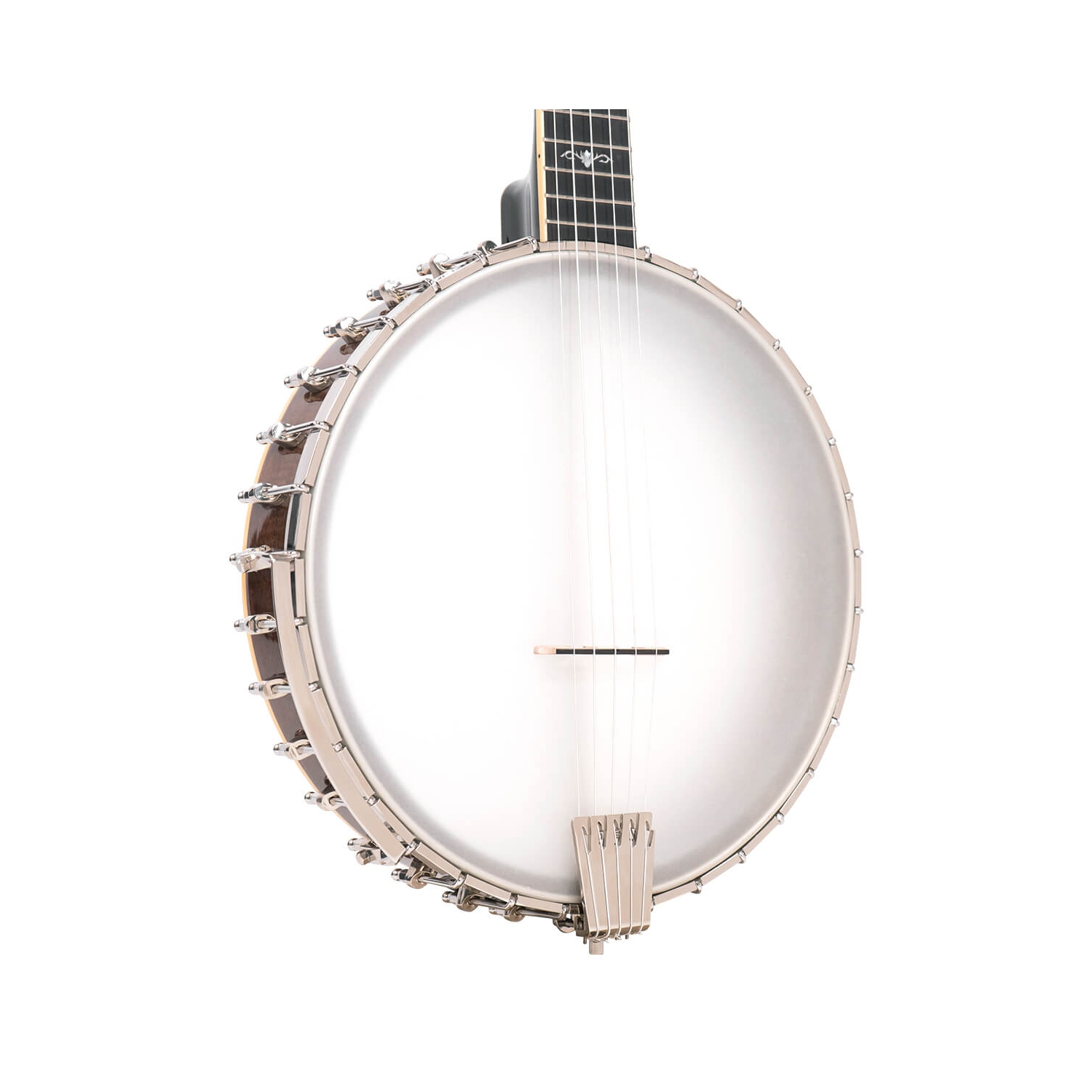 Gold Tone Banjo violoncelle à 5 cordes - Vintage Mahogany