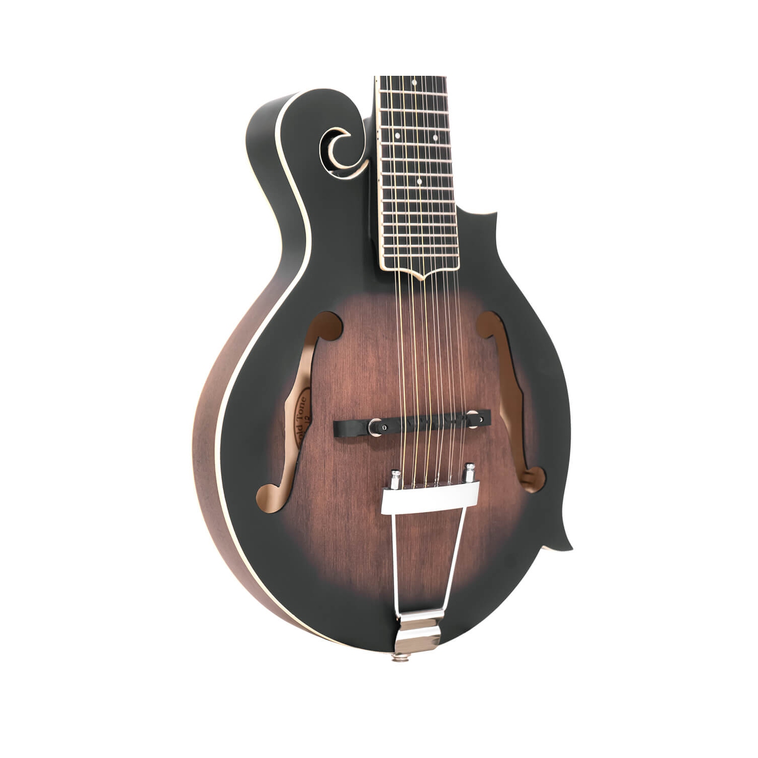 Gold Tone Mandoline / guitare 12 cordes F-Style avec étui