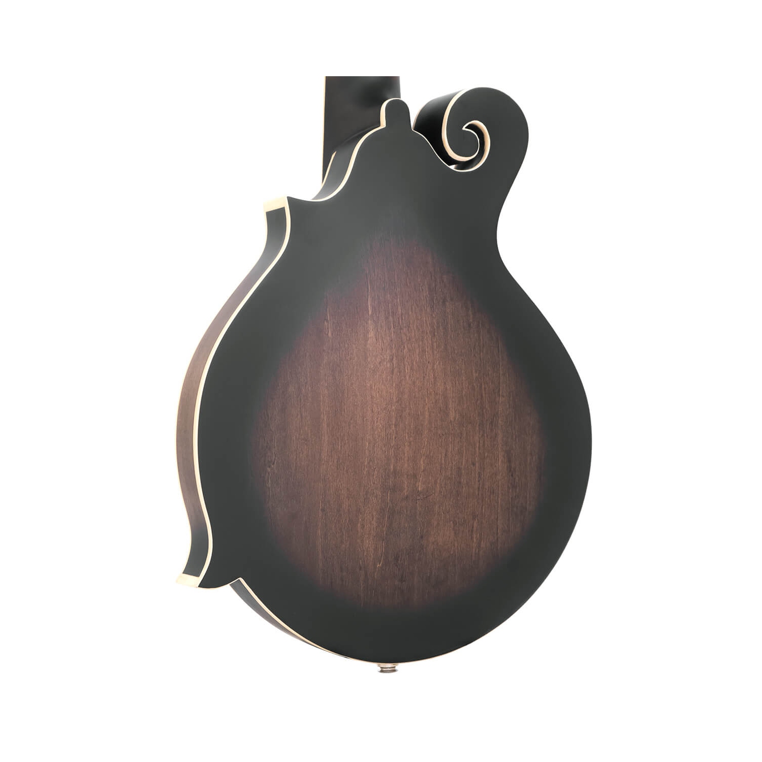 Gold Tone Mandoline / guitare 12 cordes F-Style avec étui