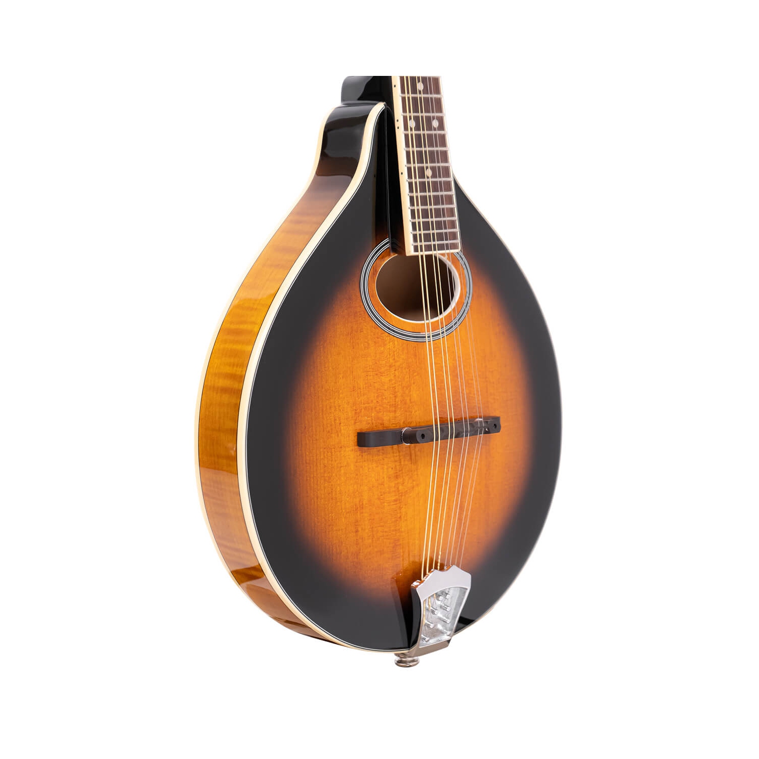 Gold Tone Mandoline intermédiaire GM-50+ de type A