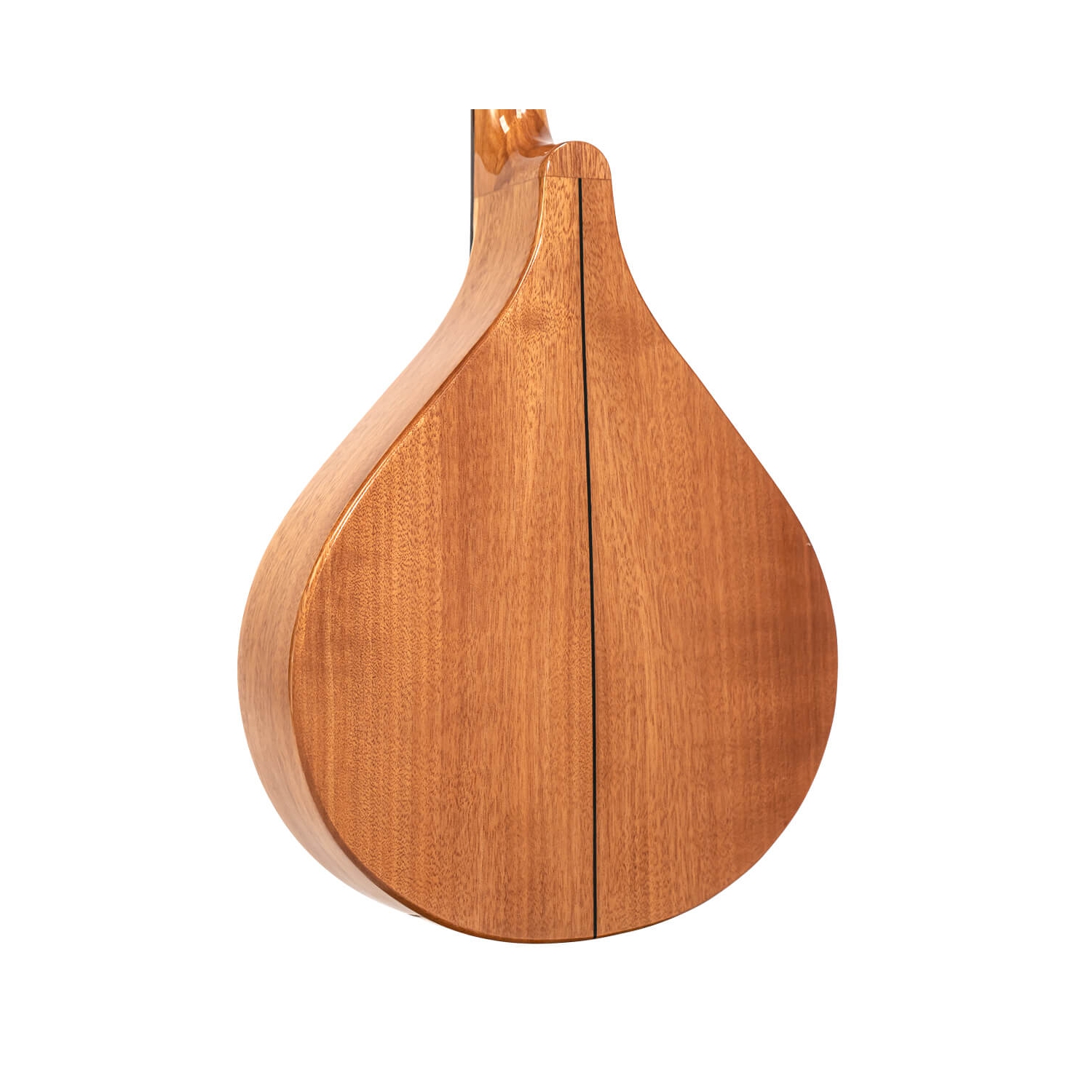 Gold Tone BZ-500 Bouzouki irlandais avec étui