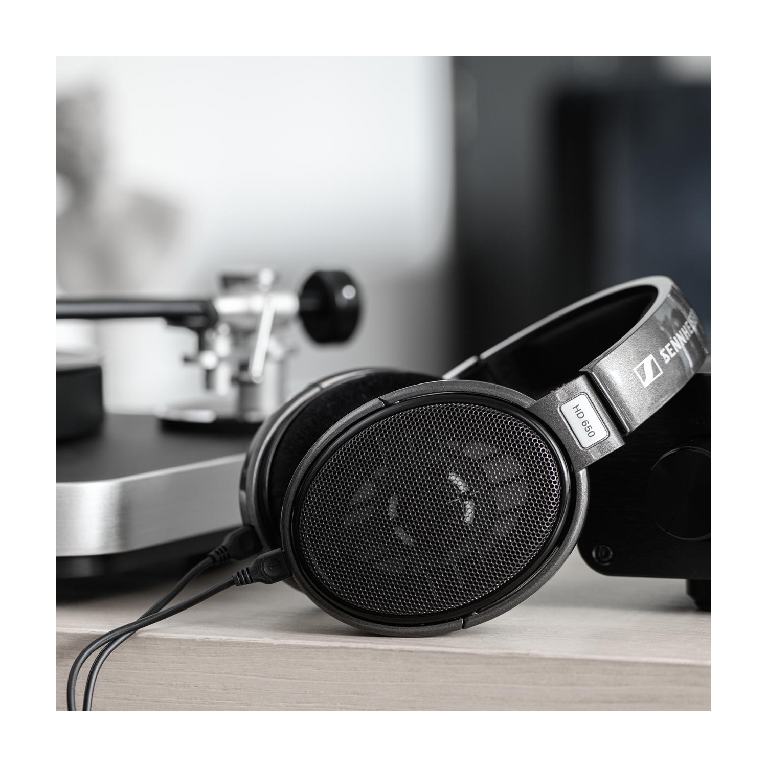Sennheiser HD 650 Open-Back Circumaural Headphones