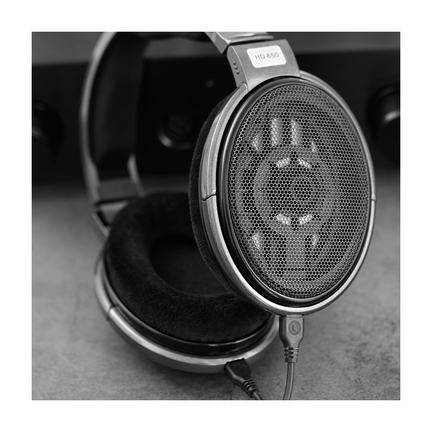 Sennheiser HD 650 Open-Back Circumaural Headphones