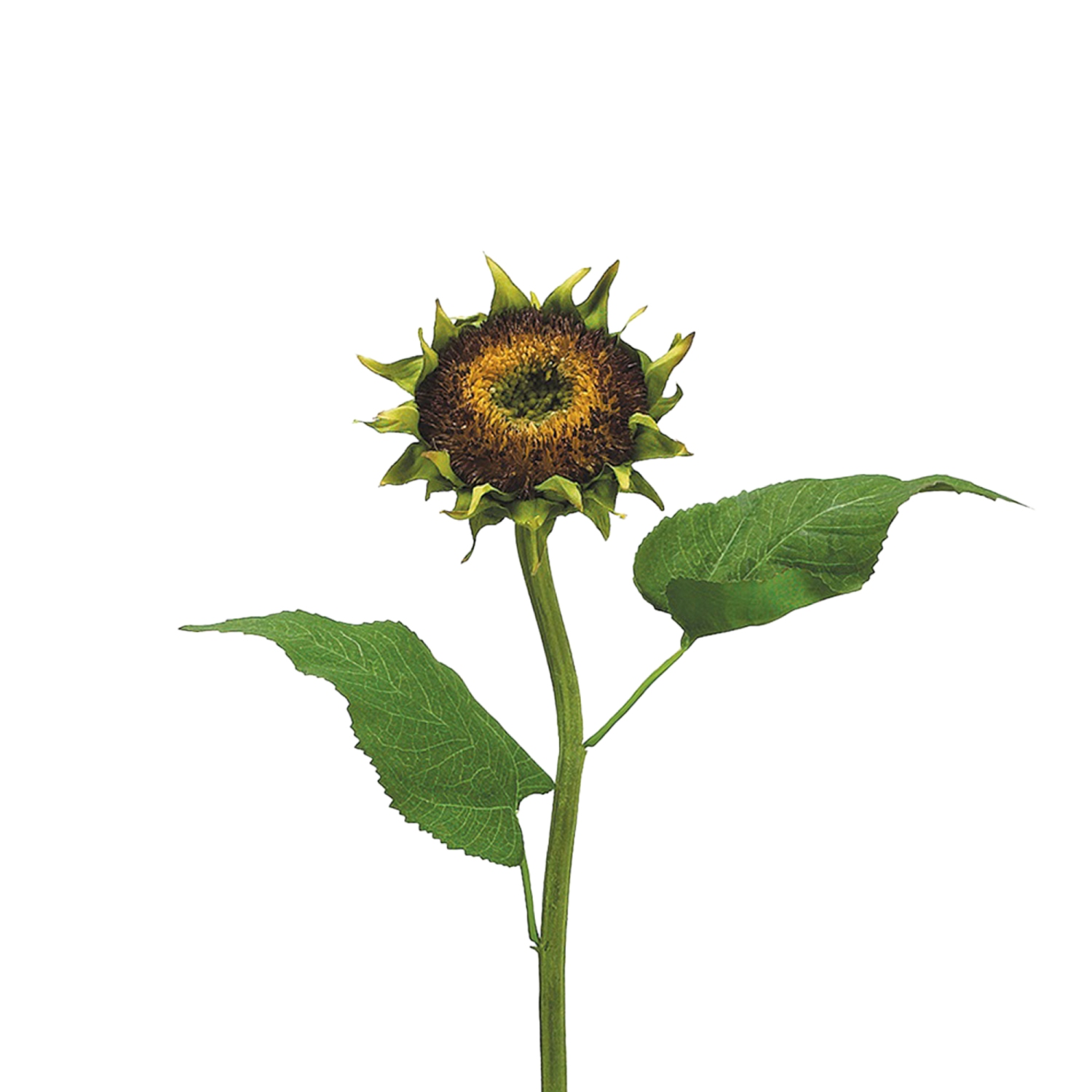 Two-Tone Sunflower Artificial Floral Spray - 28" - Brown