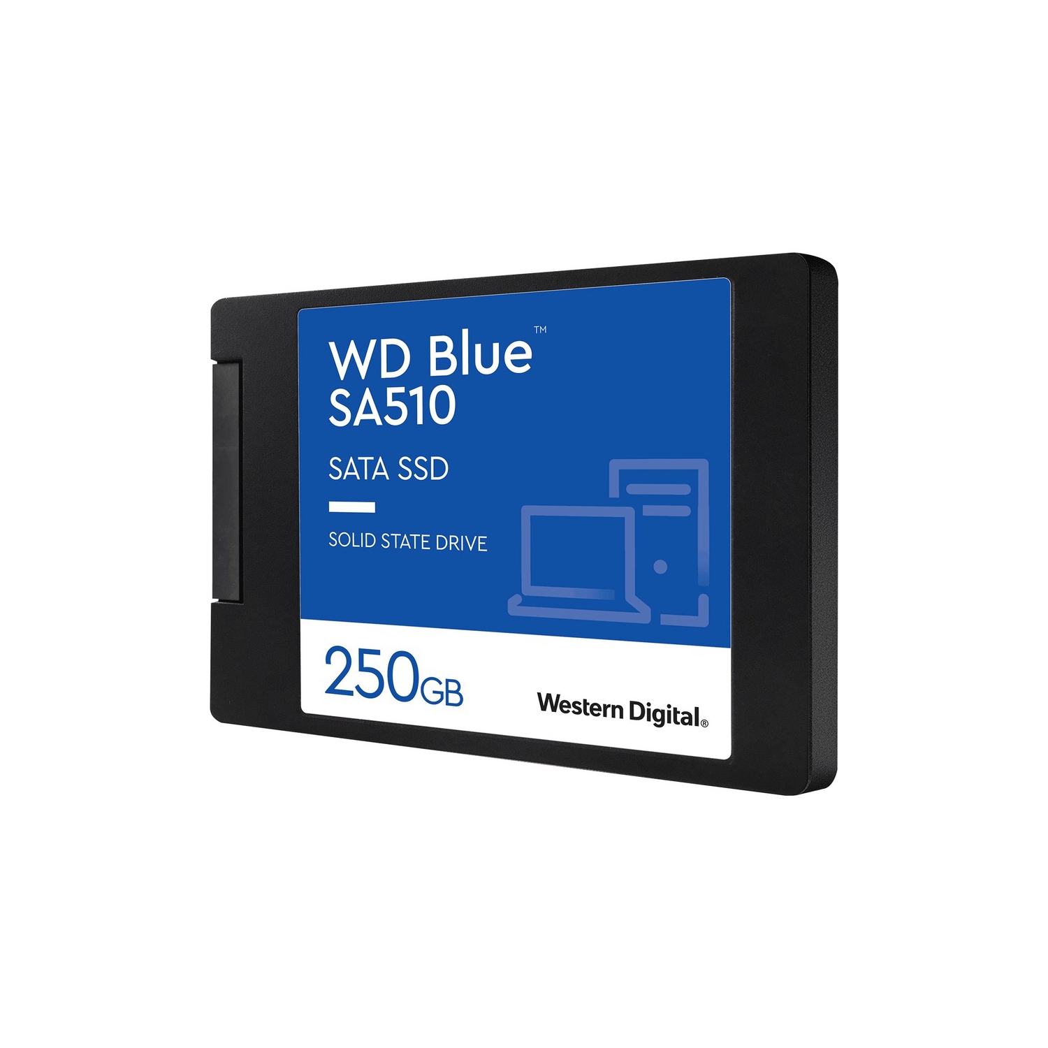 WD Blue 250GB SATA Internal Solid State Drive -