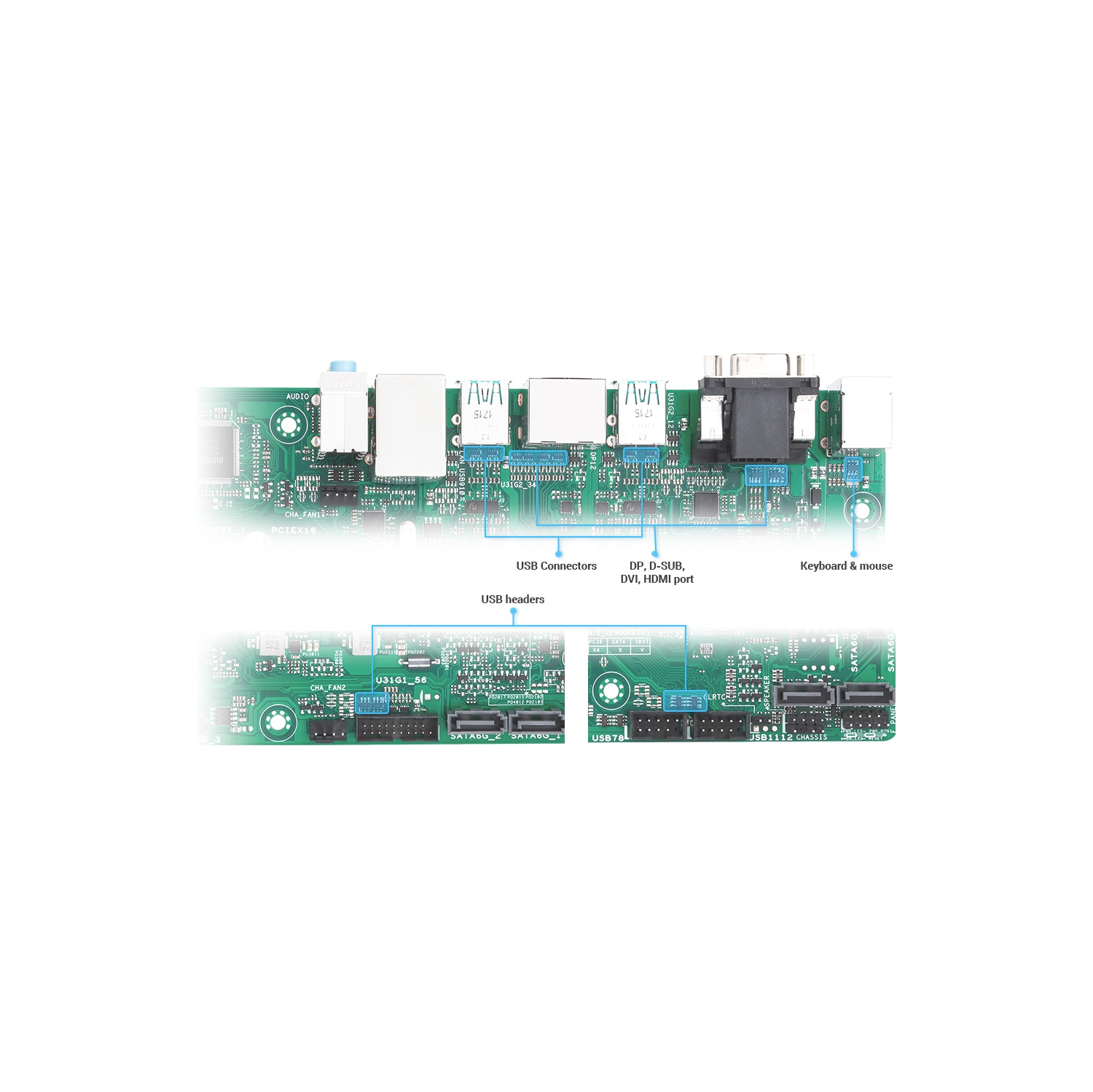 ASUS Micro-ATX LGA 1700 Motherboards