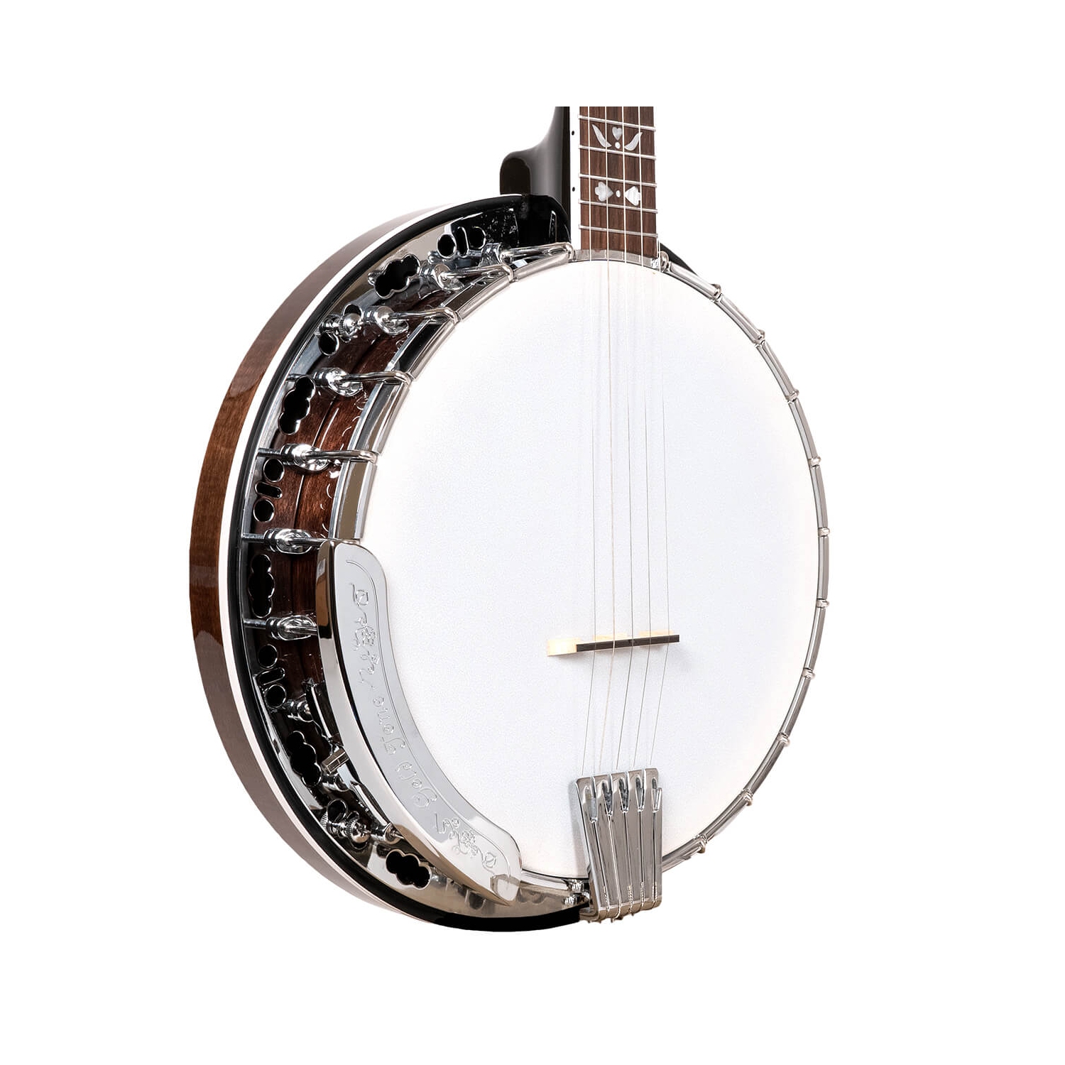 Gold Tone Banjo Bluegrass à résonateur