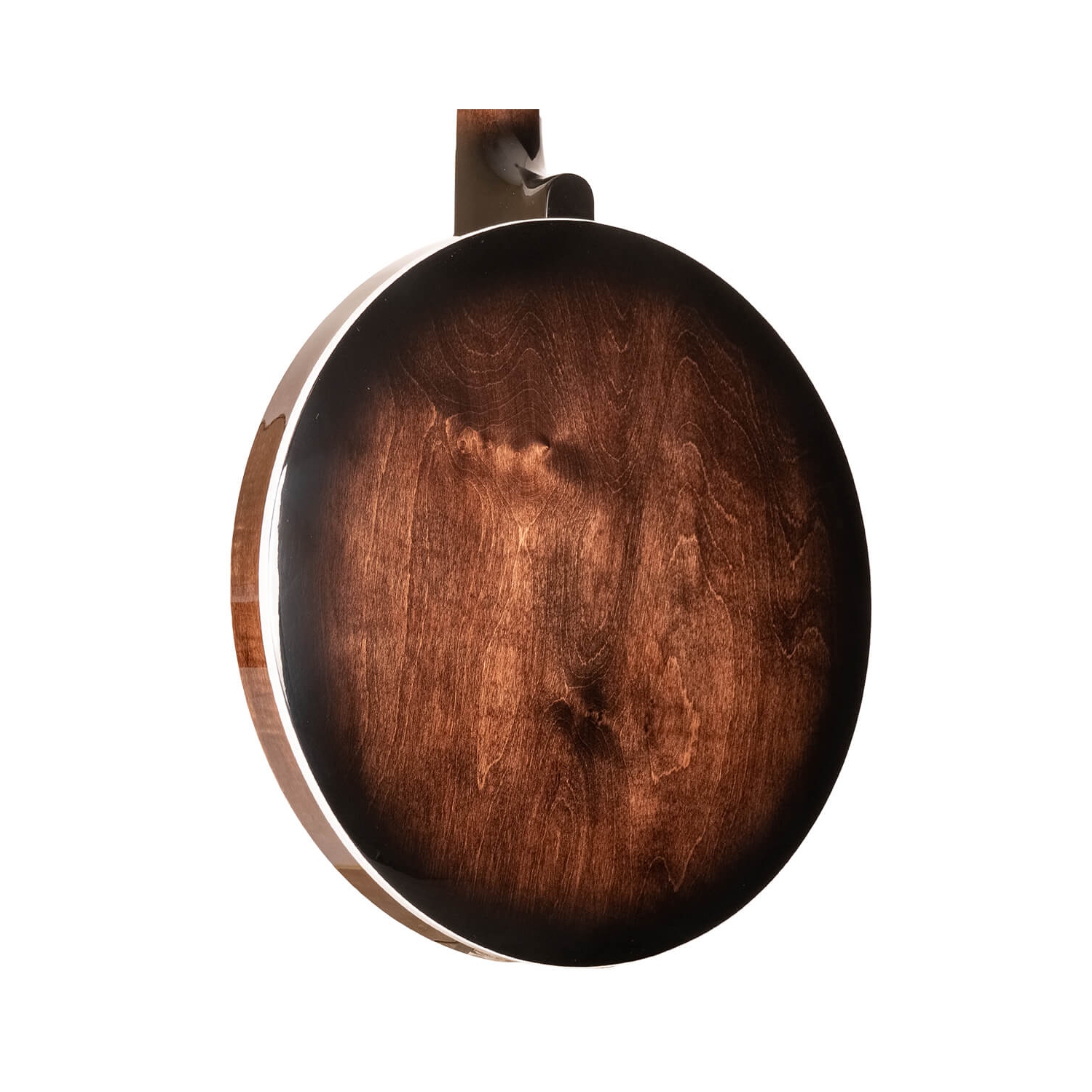 Gold Tone Banjo Bluegrass à résonateur