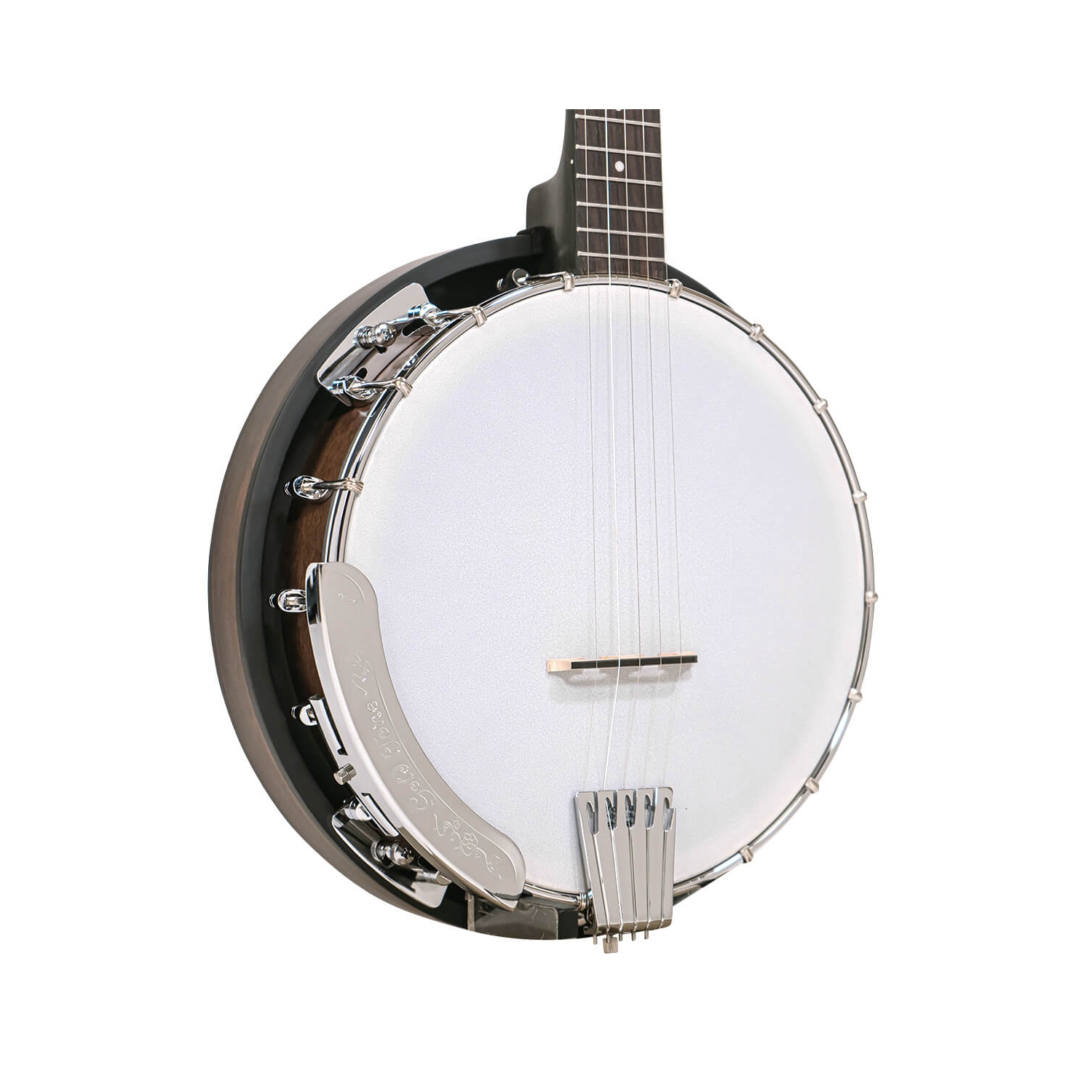 Gold Tone Cripple Creek Resonator Banjo w/Planetary Tuners & Gigbag