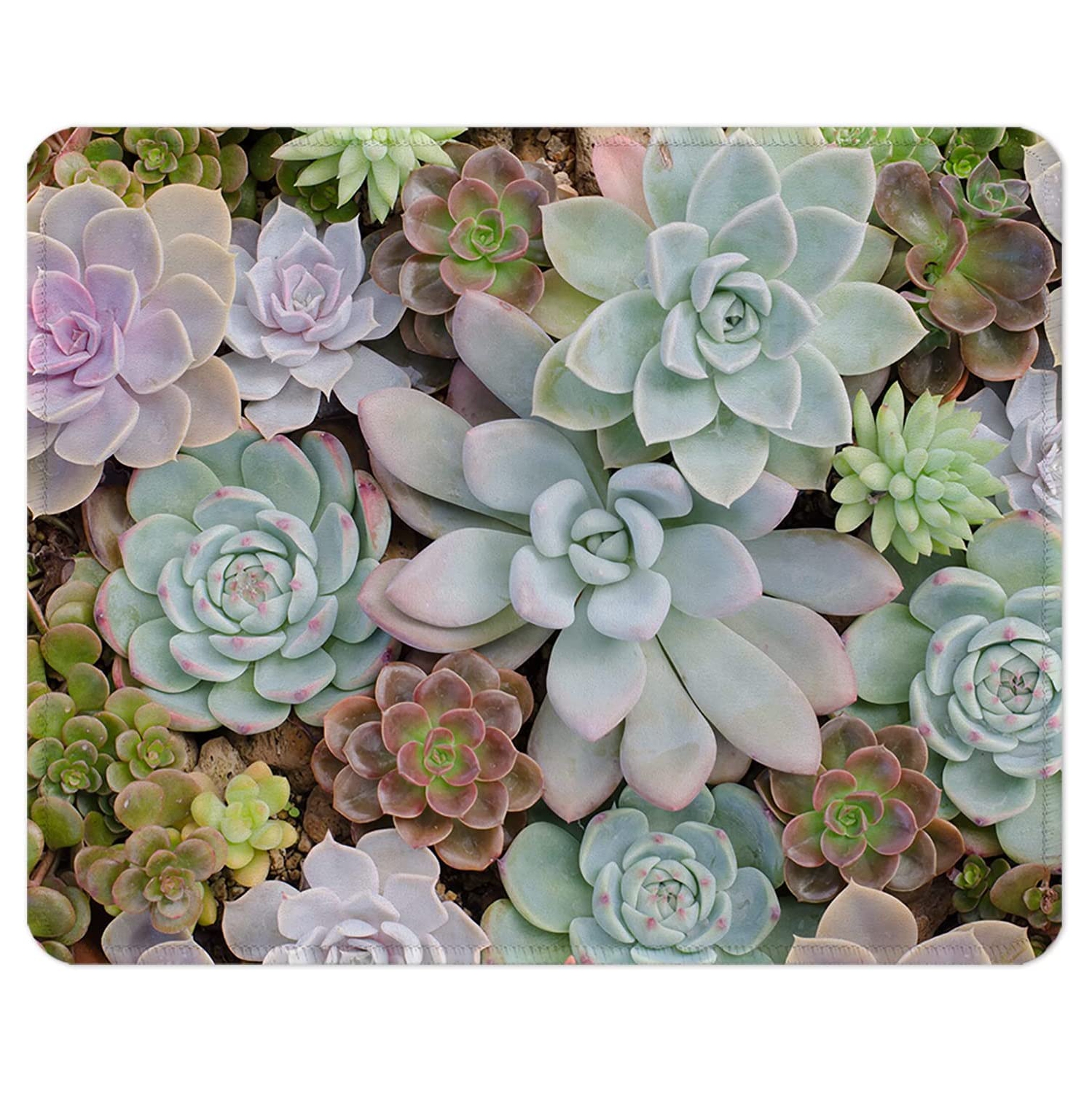 Mouse Pad with Non-Slip Rubber Base, Stitched Edge, Premium-Textured, Waterproof Gaming Mouse Pad for Wireless Mouse, Computers, Laptop, Office, 10.2×8.3 in, Succulents
