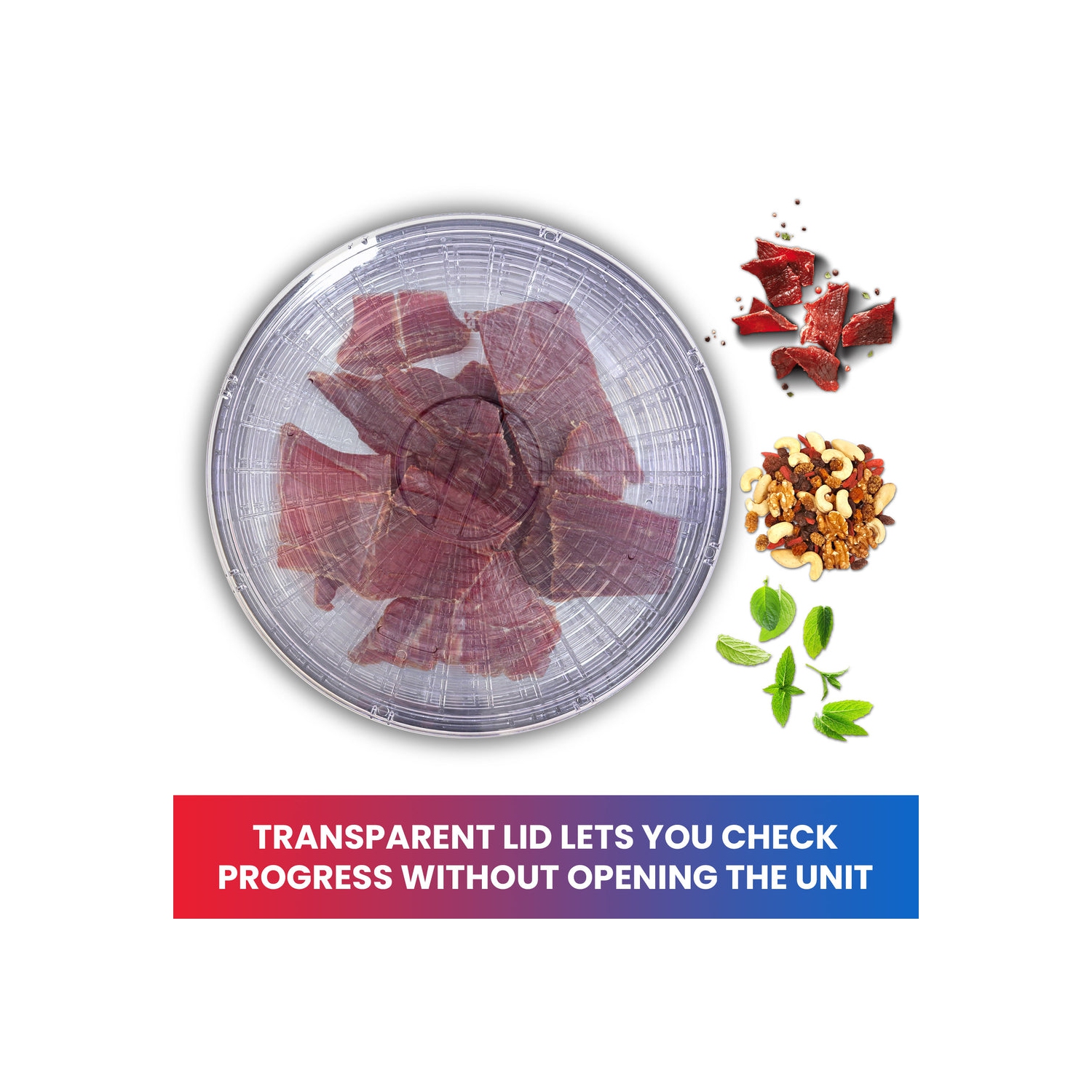 Déshydrateur de comptoir Total chef, 5 plateaux, conception supérieure Air Flow, pour collations aux fruits, charqui, viande, légumes, Herbes,