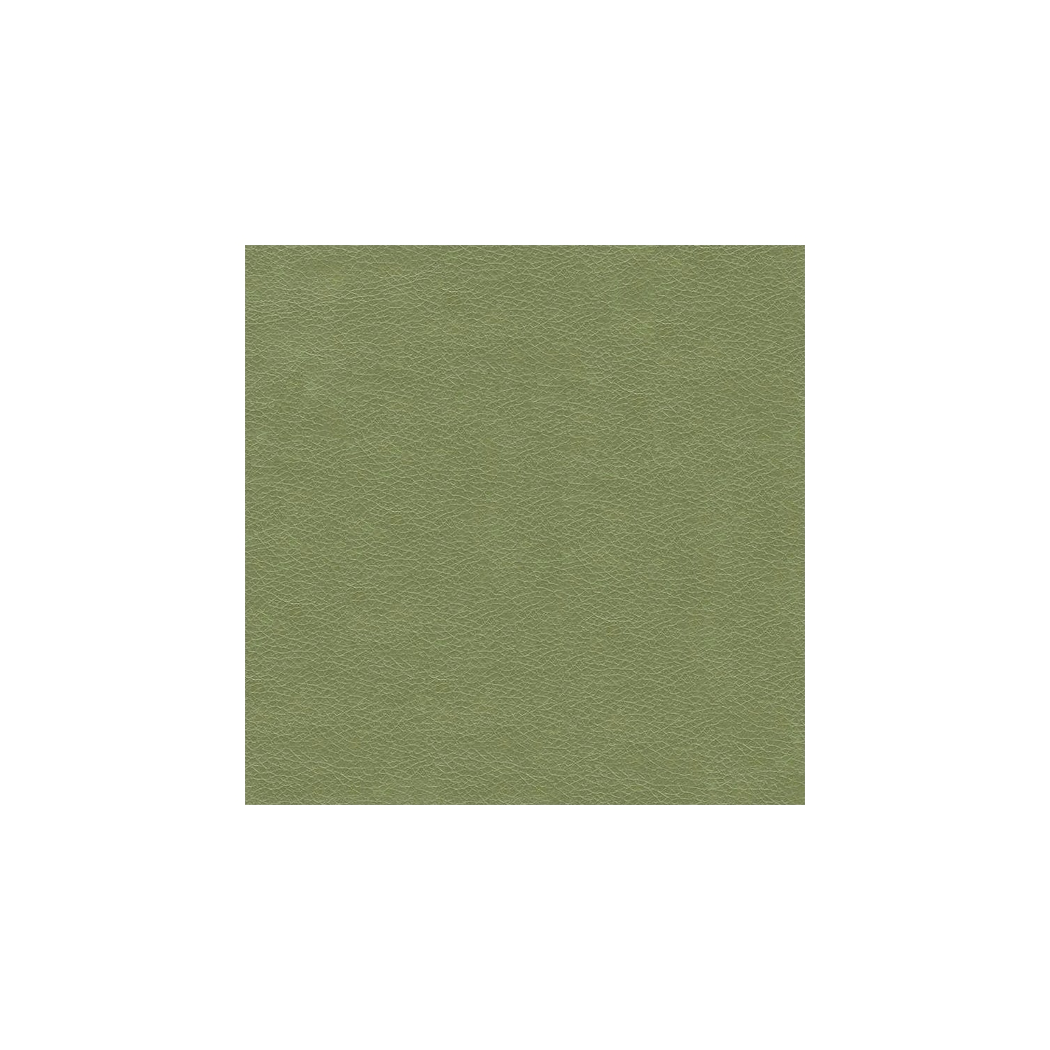 HomePop Transitional Faux Leather Large Storage Ottoman in Green