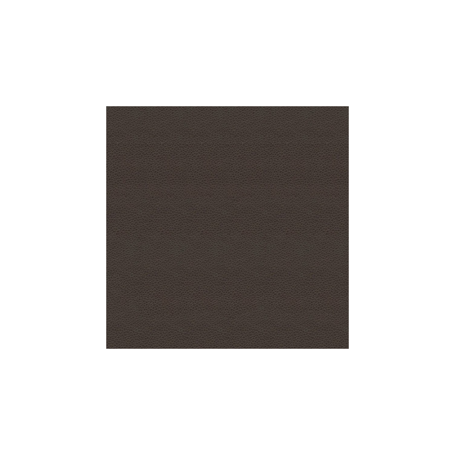 HomePop Transitional Faux Leather Large Storage Ottoman in Brown