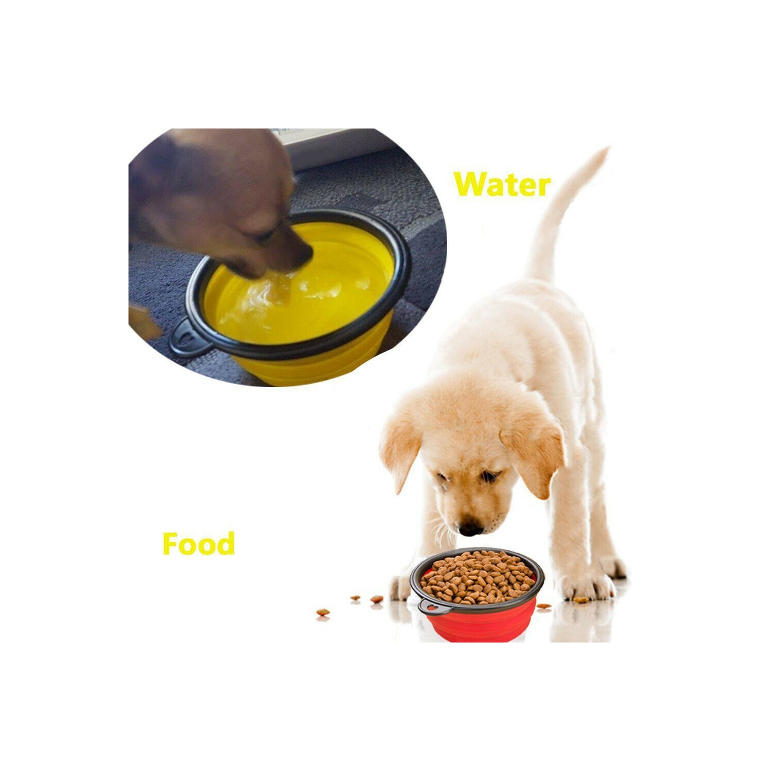 Leak Proof Portable Dog Container with 2 Bowls-Big Capacity & Food Grade Plastic