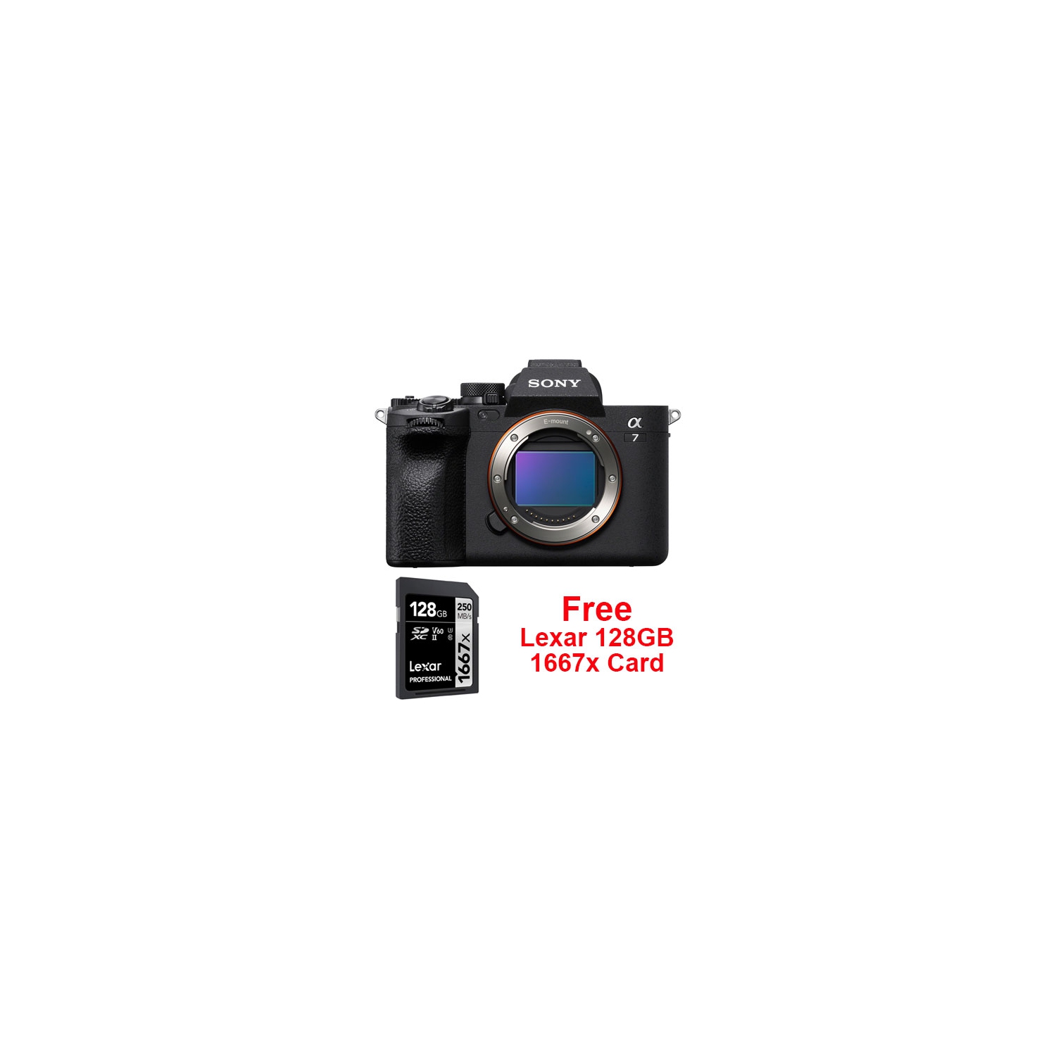 Sony Alpha a7 IV Camera Body + 128GB 1667x Lexar Pro Card