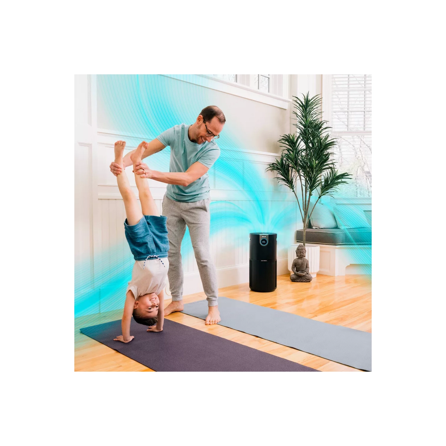 Shark HP202 Purificateur d'air Max avec véritable HEPA, protection antimicrobienne microbane en gris - HP202_GREY