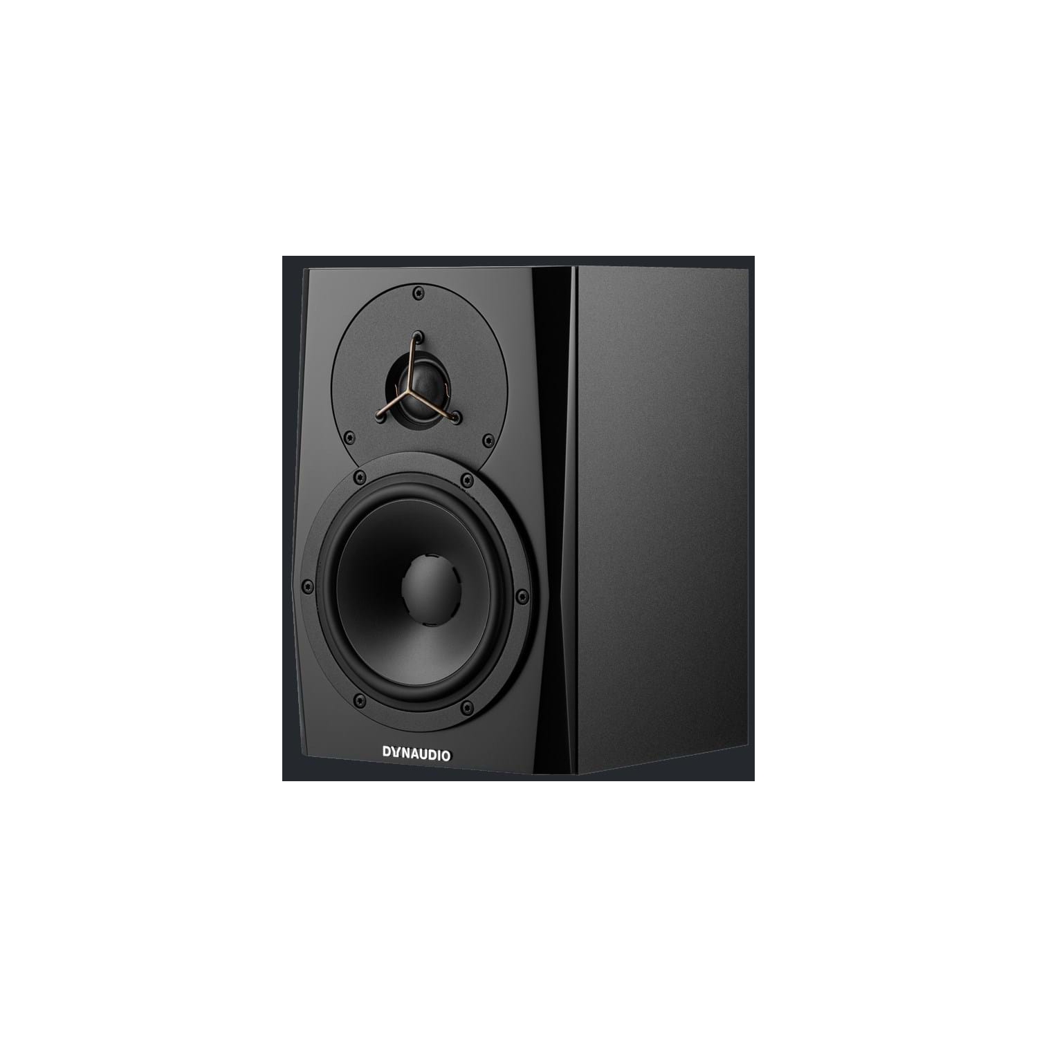 Dynaudio LYD-5B Moniteur de référence alimenté, chacun - Noir