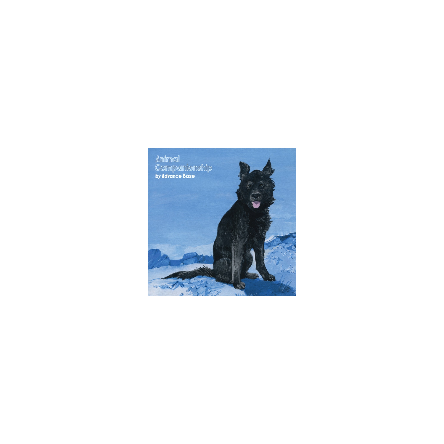 Advance Base - Animal Companionship [COMPACT DISCS] | Best Buy Canada