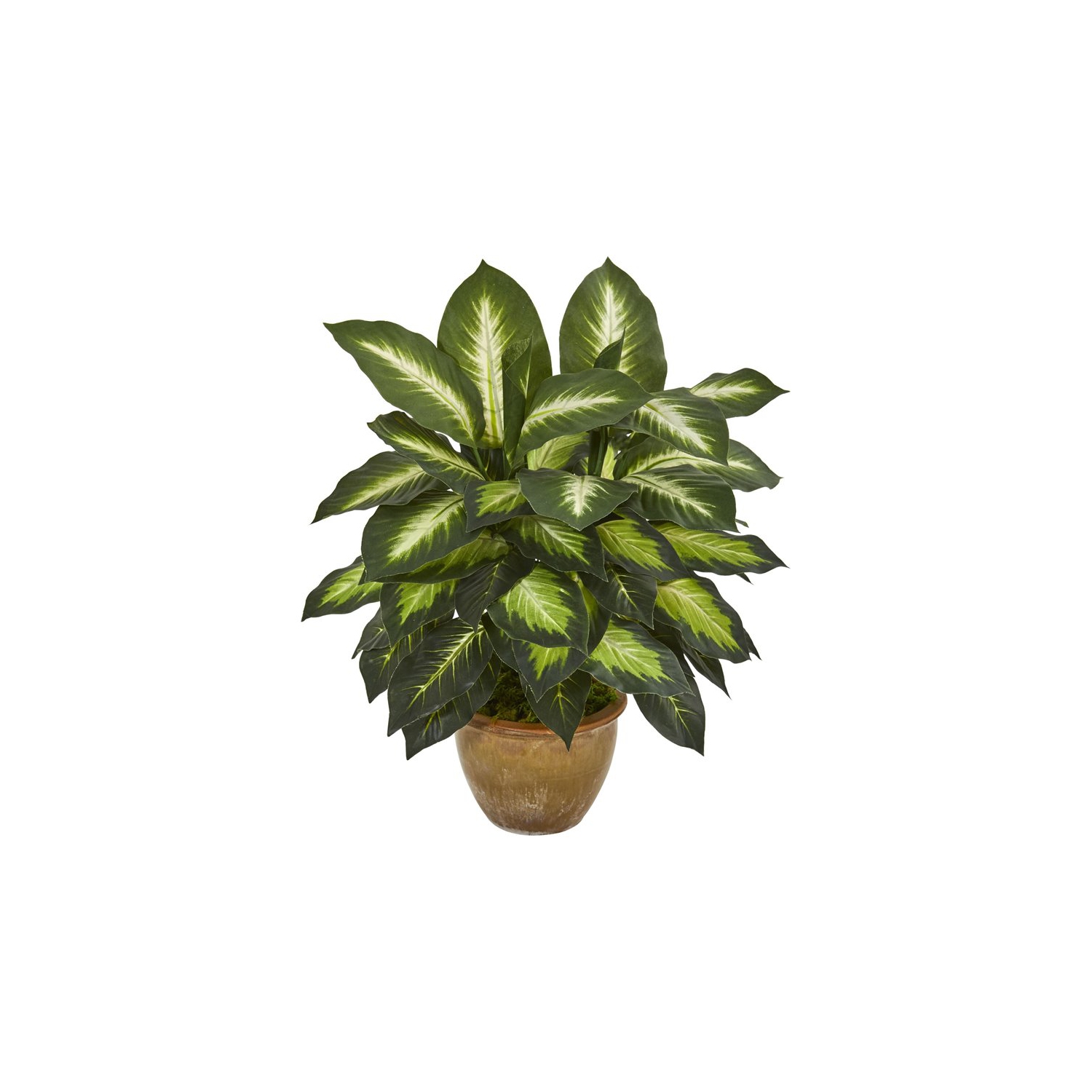 Plante artificielle Dieffenbachia presque naturelle dans une jardinière en céramique verte et havane