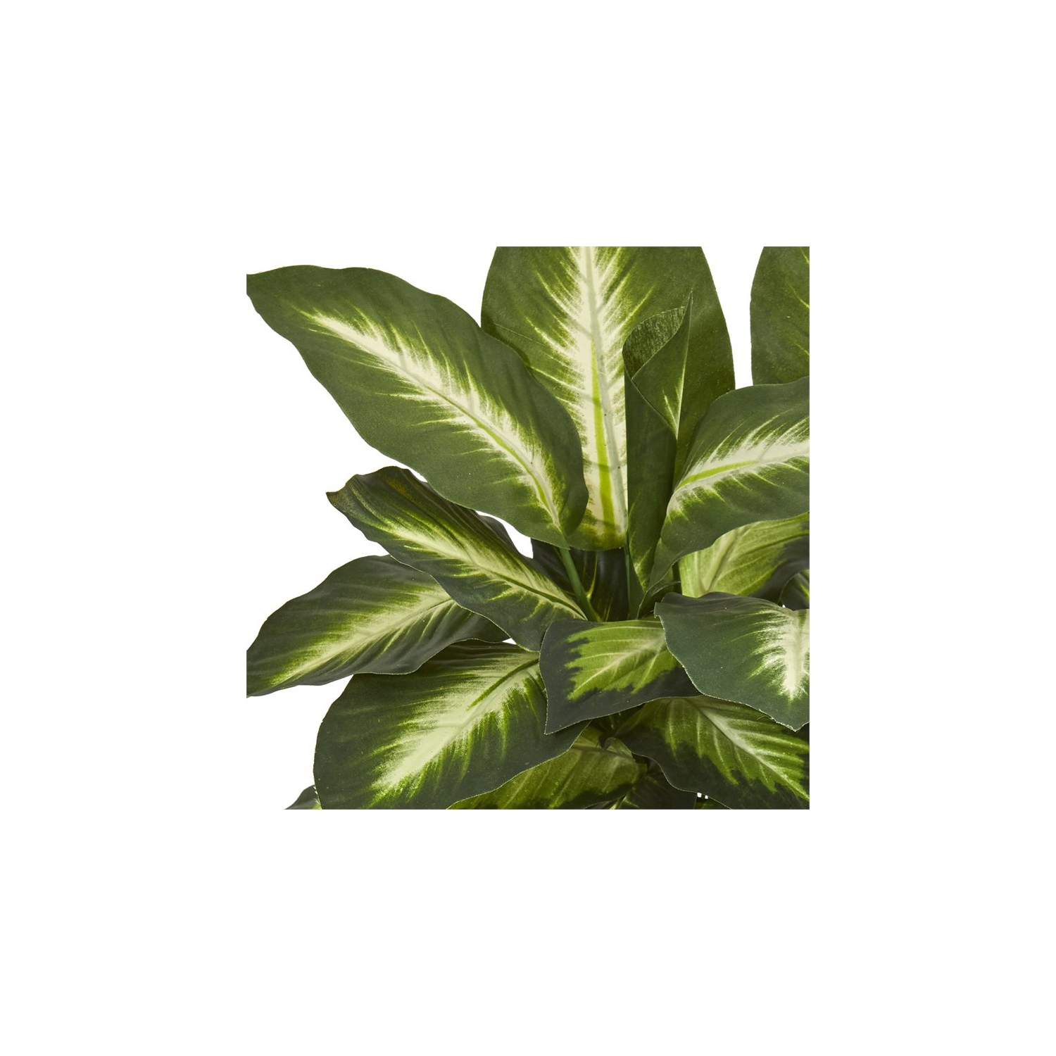 Plante artificielle Dieffenbachia presque naturelle dans une jardinière en céramique verte et havane