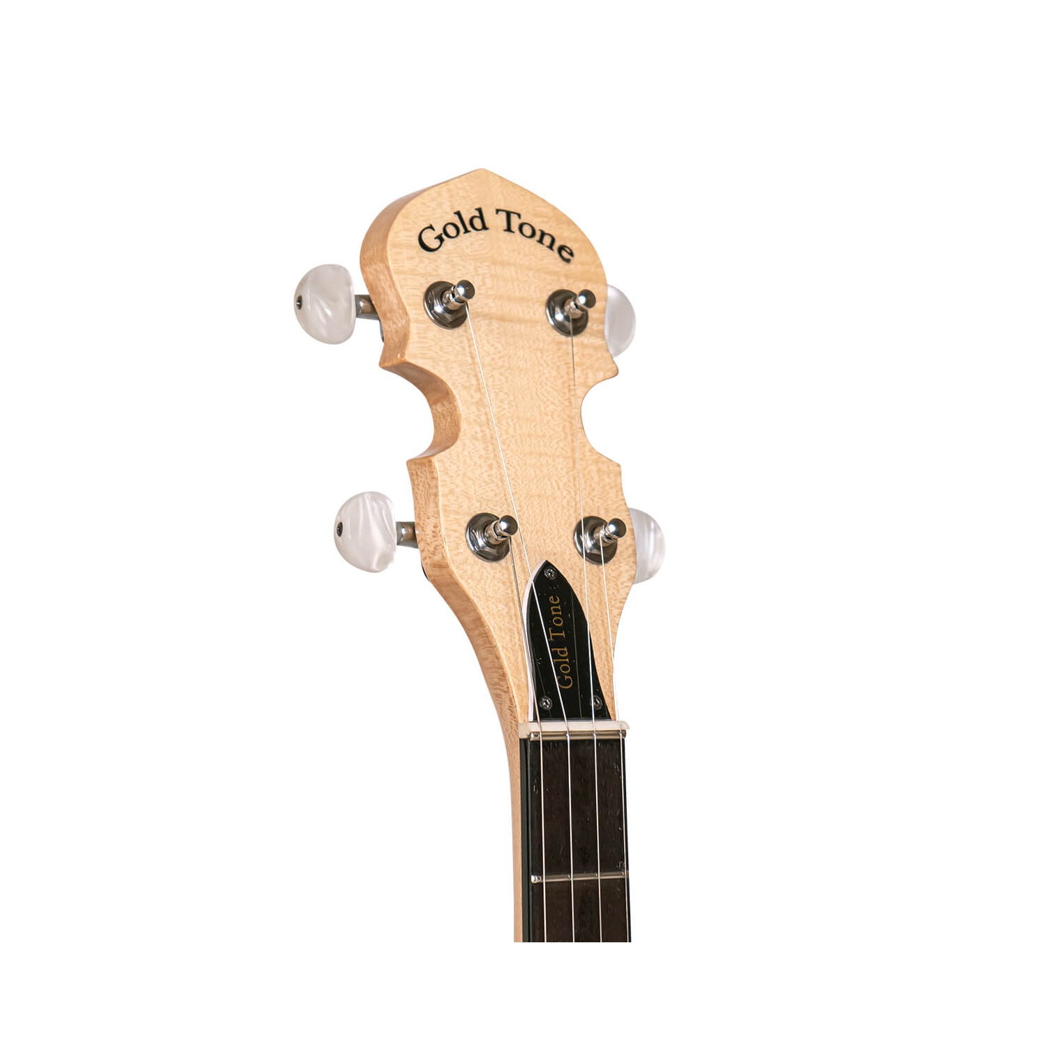 Gold Tone CC-100 Cripple Creek Banjo 5 cordes à dos ouvert