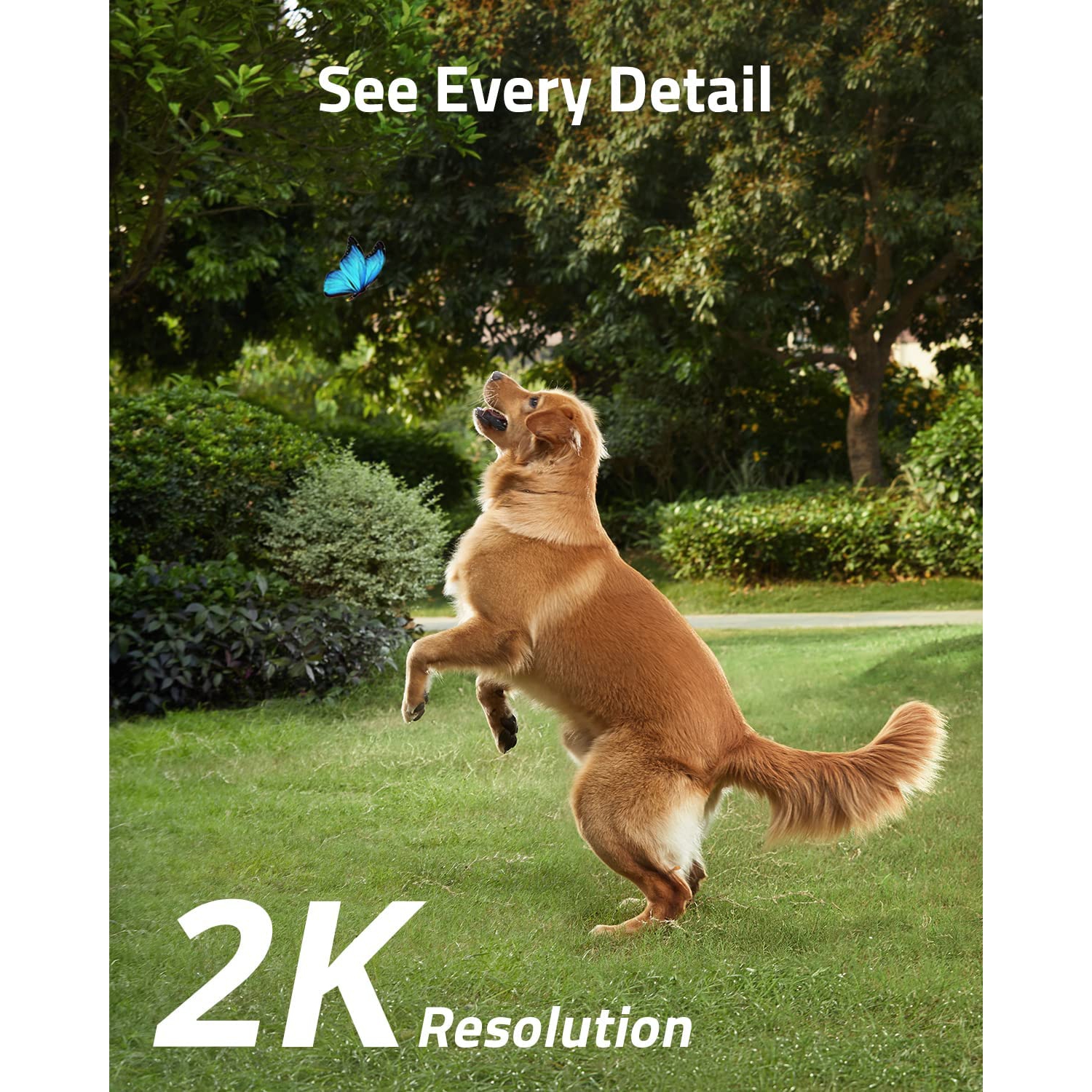 Open Box - eufy Security SoloCam S40, Solar-Powered, Wireless Outdoor Security Camera