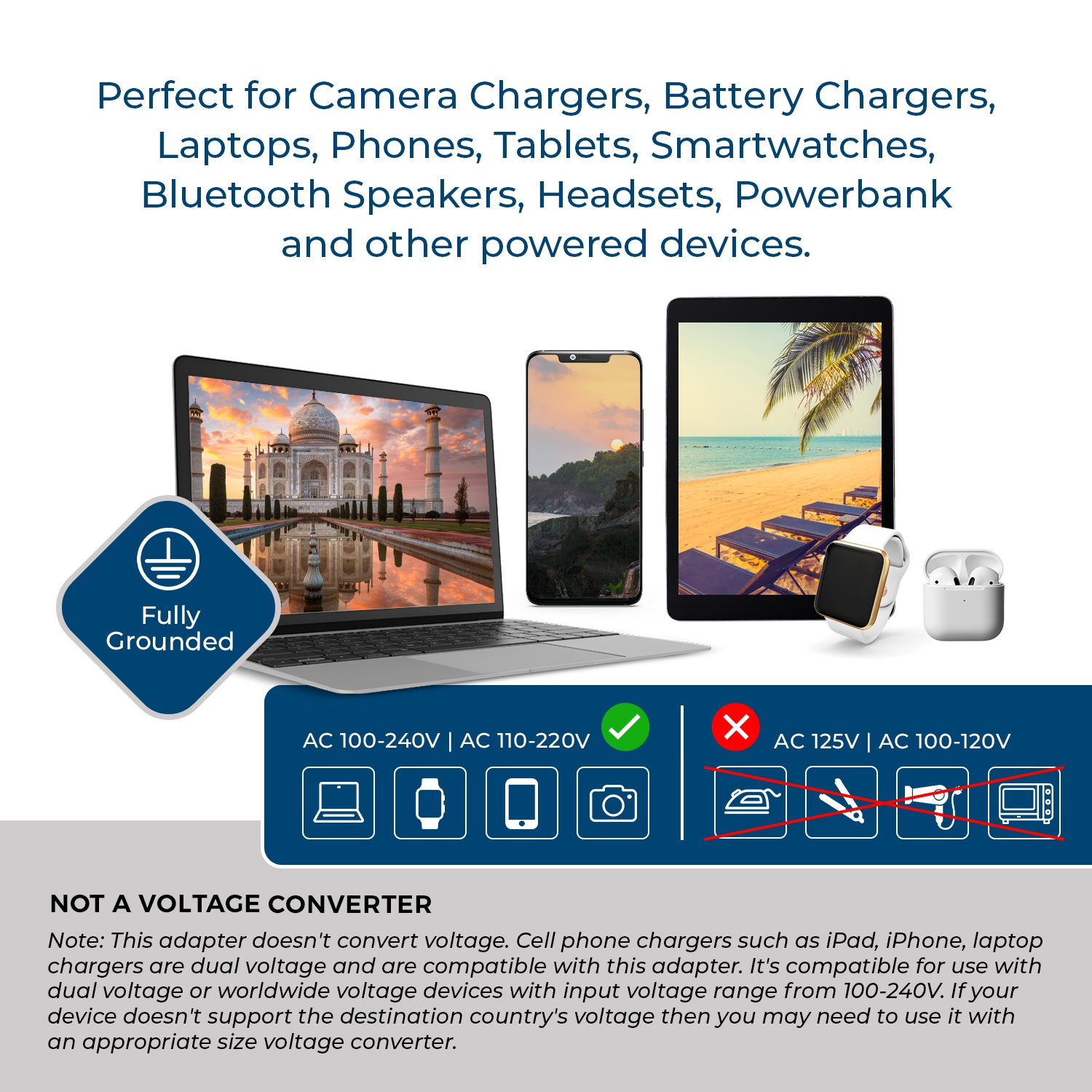 OREI India, Nepal, Maldives Travel Plug Adapter Dual USB Surge Protection Type D