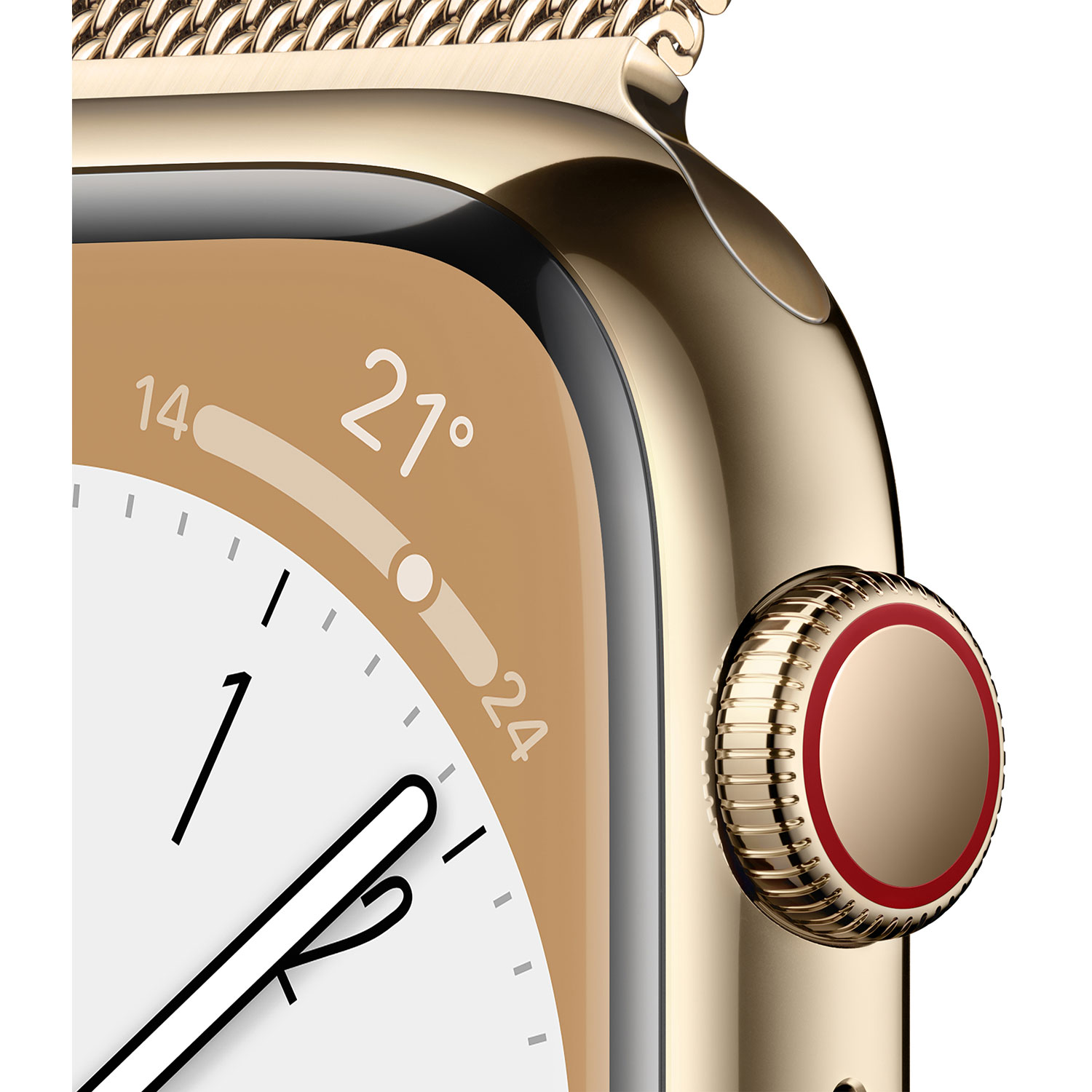 Apple Watch Series 8 41 mm en acier inoxydable doré et bracelet milanais doré de TELUS - P/M - Financement mensuel
