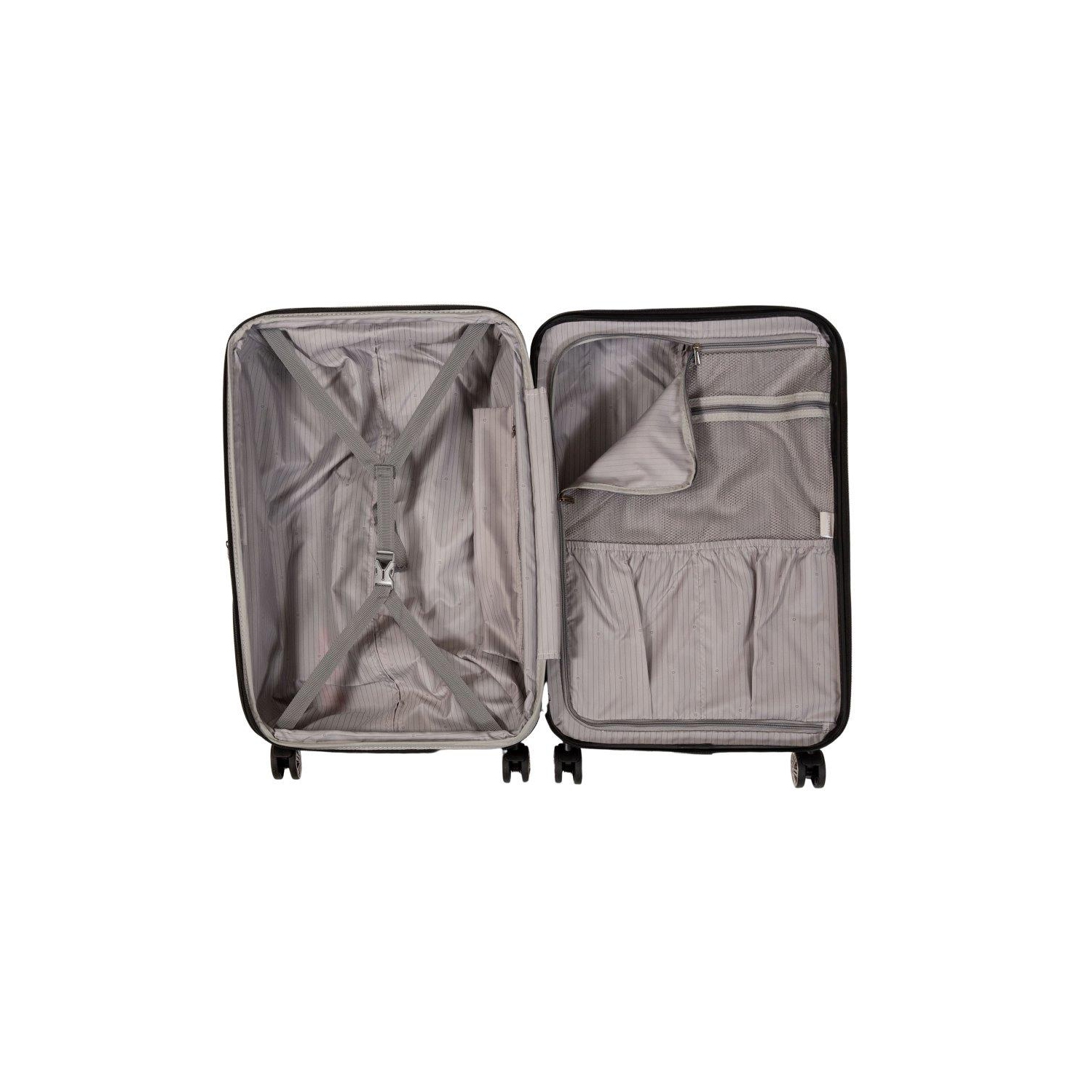 Delsey Chrometec Hardside Spinner Suitcase 3 Pcs Luggage Set-silver