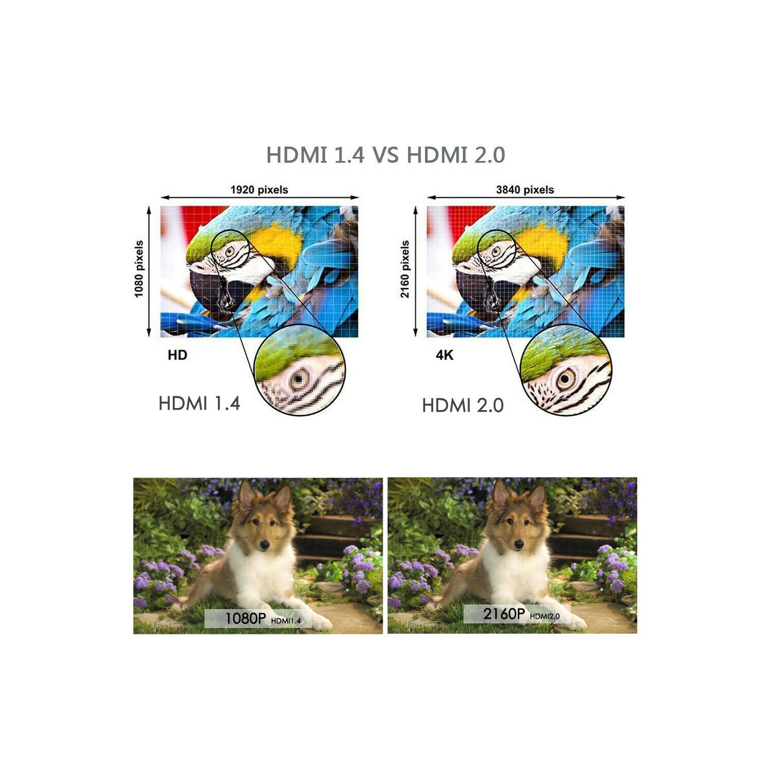 6FT 4K@60Hz Ultra HD HDMI Cable V2.0 High Speed 2160p UHD 3D CHROME HDTV Gold