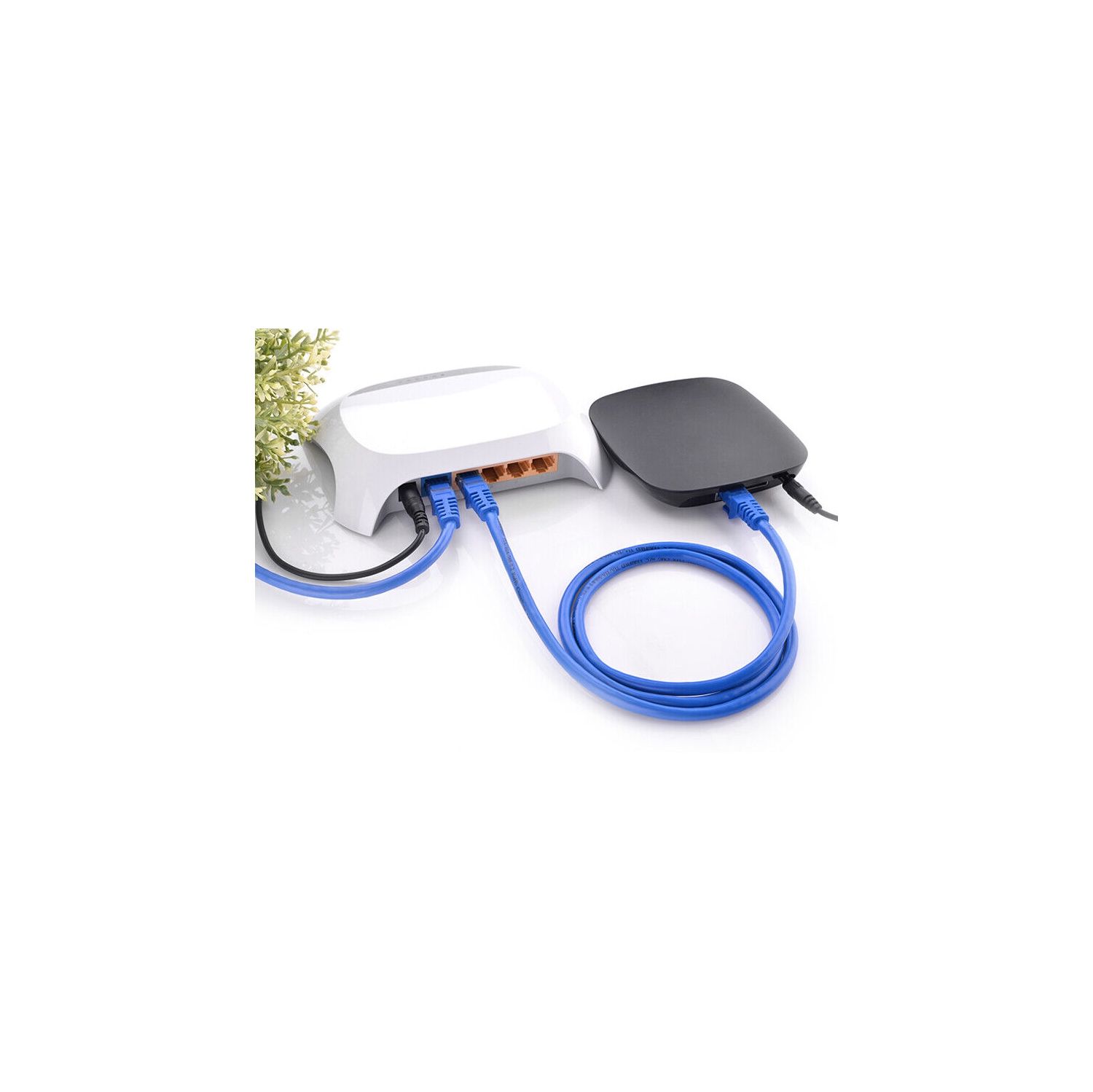 Câble réseau RJ45 Cat6 Câble Ethernet 100 % CUIVRE PUR