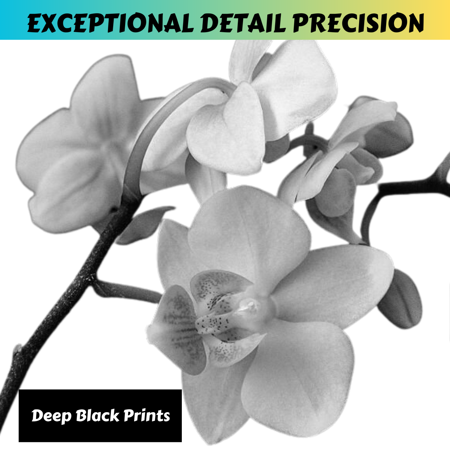 DR051 / CF232A Drum & 2 CRG-051H / CF230X Compatible with HP & Canon - Toners for LaserJet M203 MFP M227 Series & ImageClass MF263 MF264 MF267 MF267