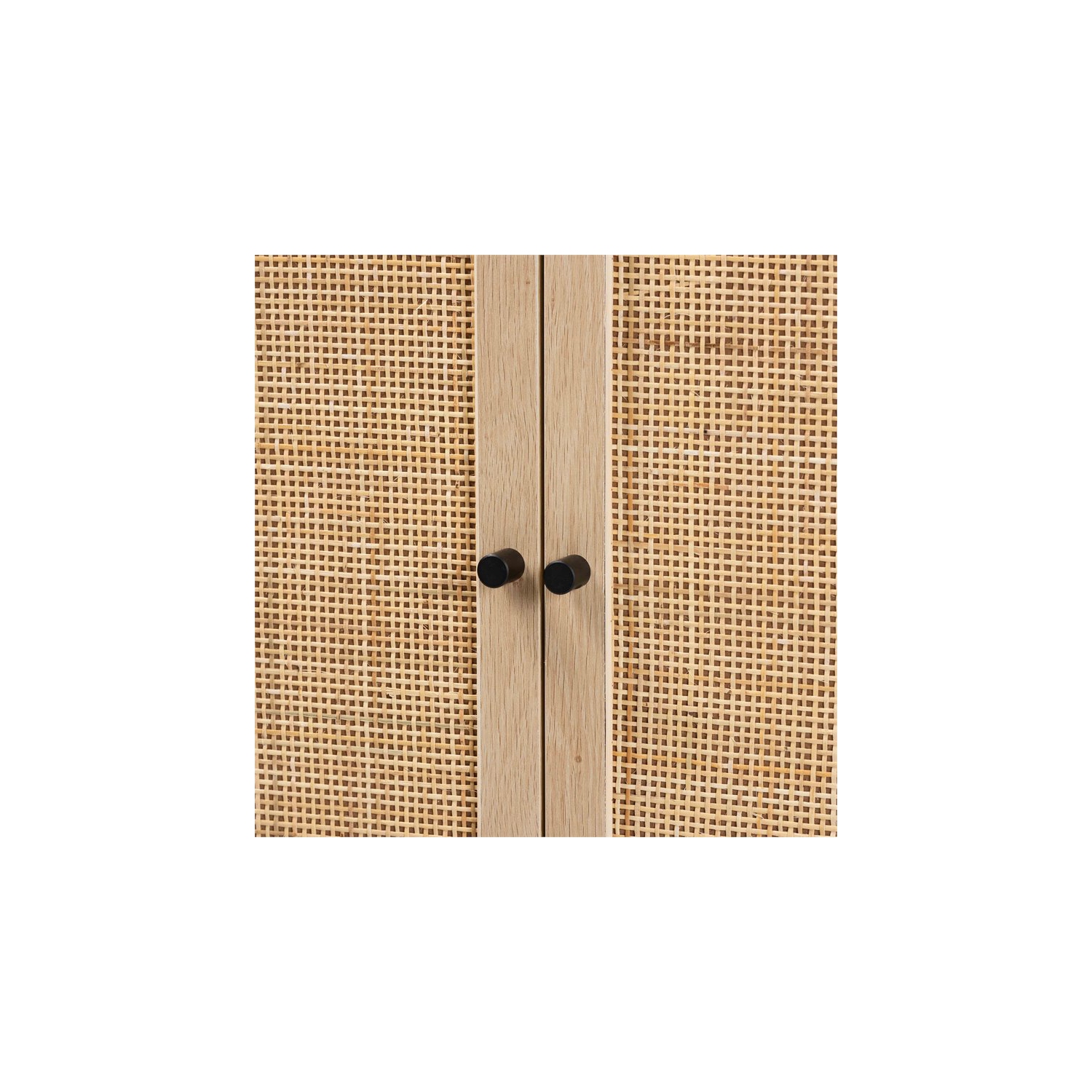 Baxton Studio Ardon Light Brown Finished Wood and Metal 2-Door Storage Cabinet