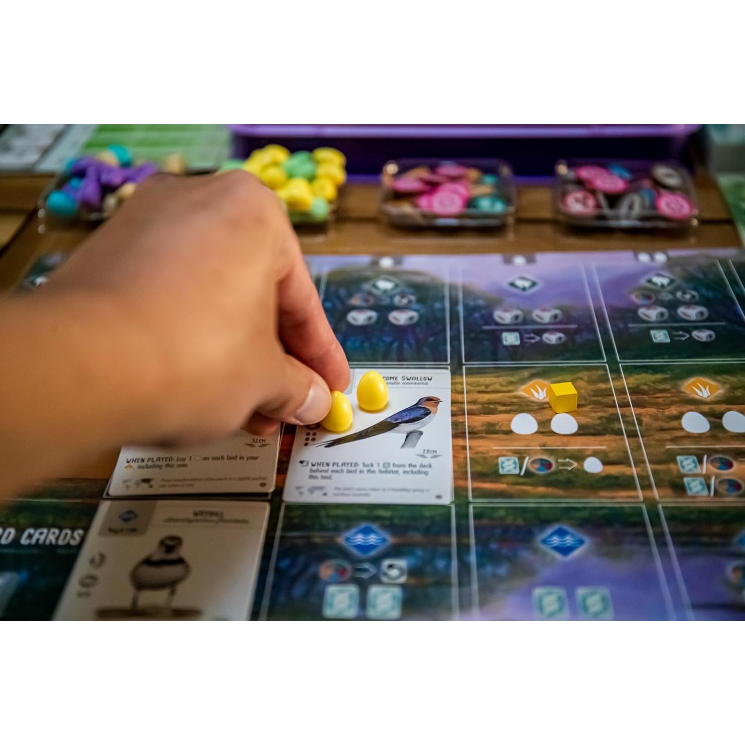 Wingspan: Oceania Expansion 1-5 joueurs, 10 ans et plus, 40-70 minutes