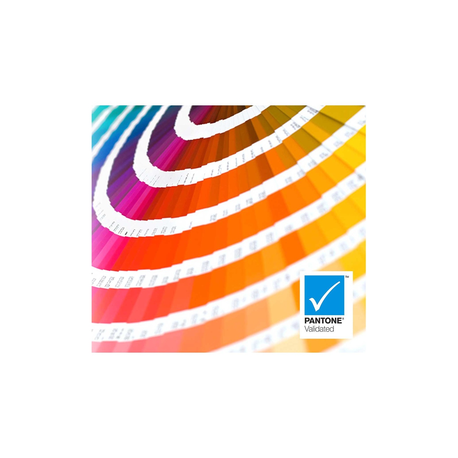 VIEWSONIC 32" 4K UHD 60Hz 5ms GTG IPS Adaptive Sync Monitor - Black