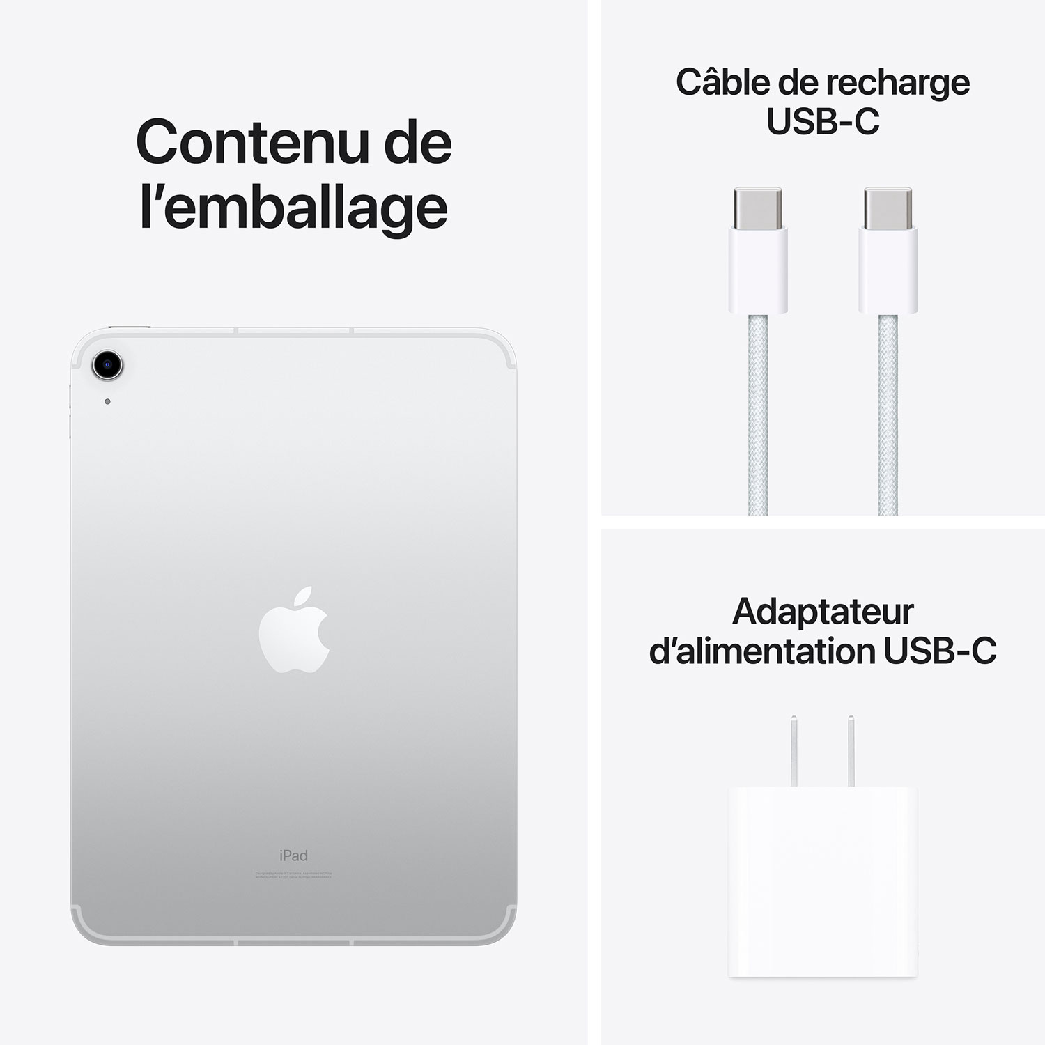 iPad 10,9 po 256 Go Wi-Fi et 5G d'Apple avec TELUS - Argenté - Financement mensuel