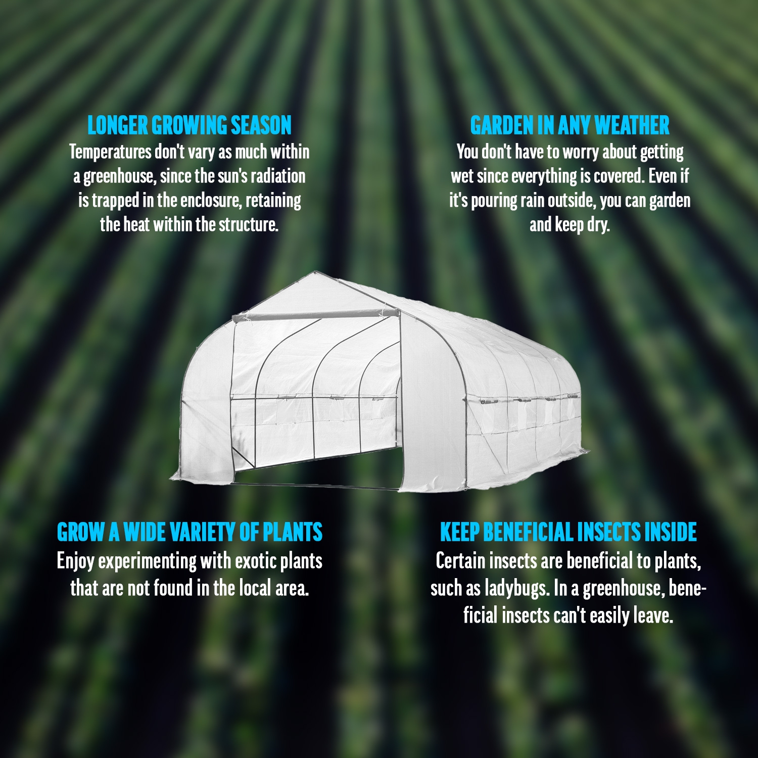 KapscoMoto Large 20ft Portable Greenhouse Outdoor Walk In Green House Hothouse for Fruits, Vegetables, Plants, and Flowers - 20ft L x 10ft W x 7ft H