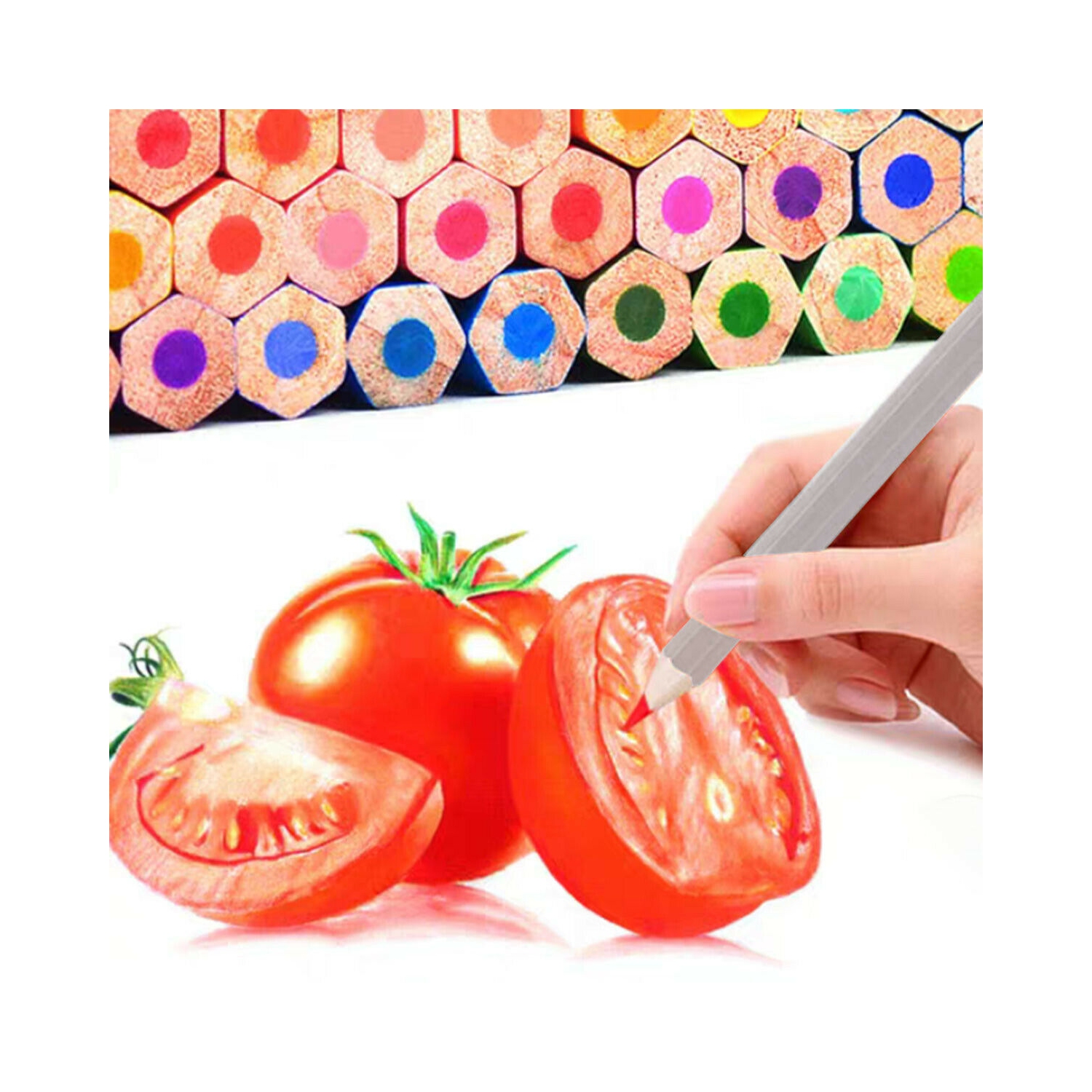 Professional Colored Pencils Set of 48 Color for Drawing Art, Sketching, Shading